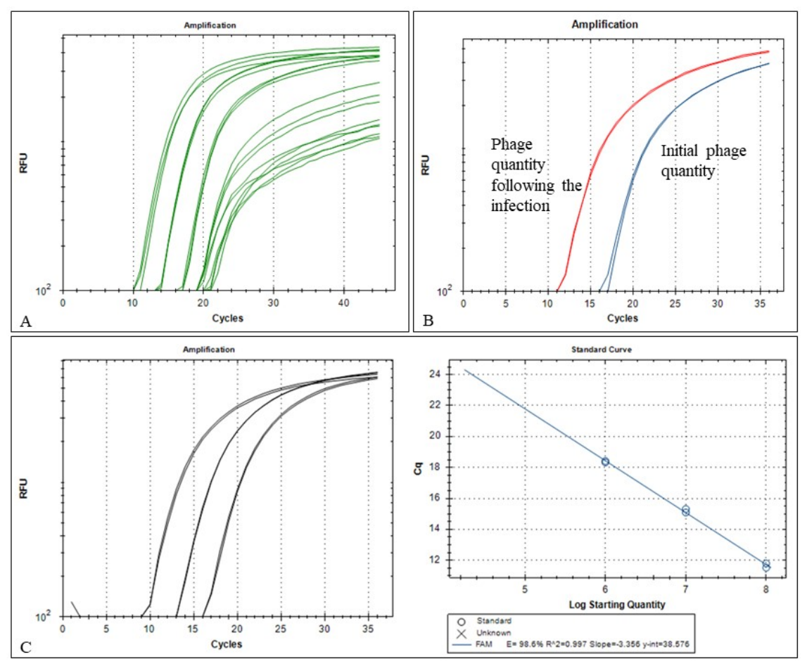 Preprints 211921 g001 Preprints 211921 g001