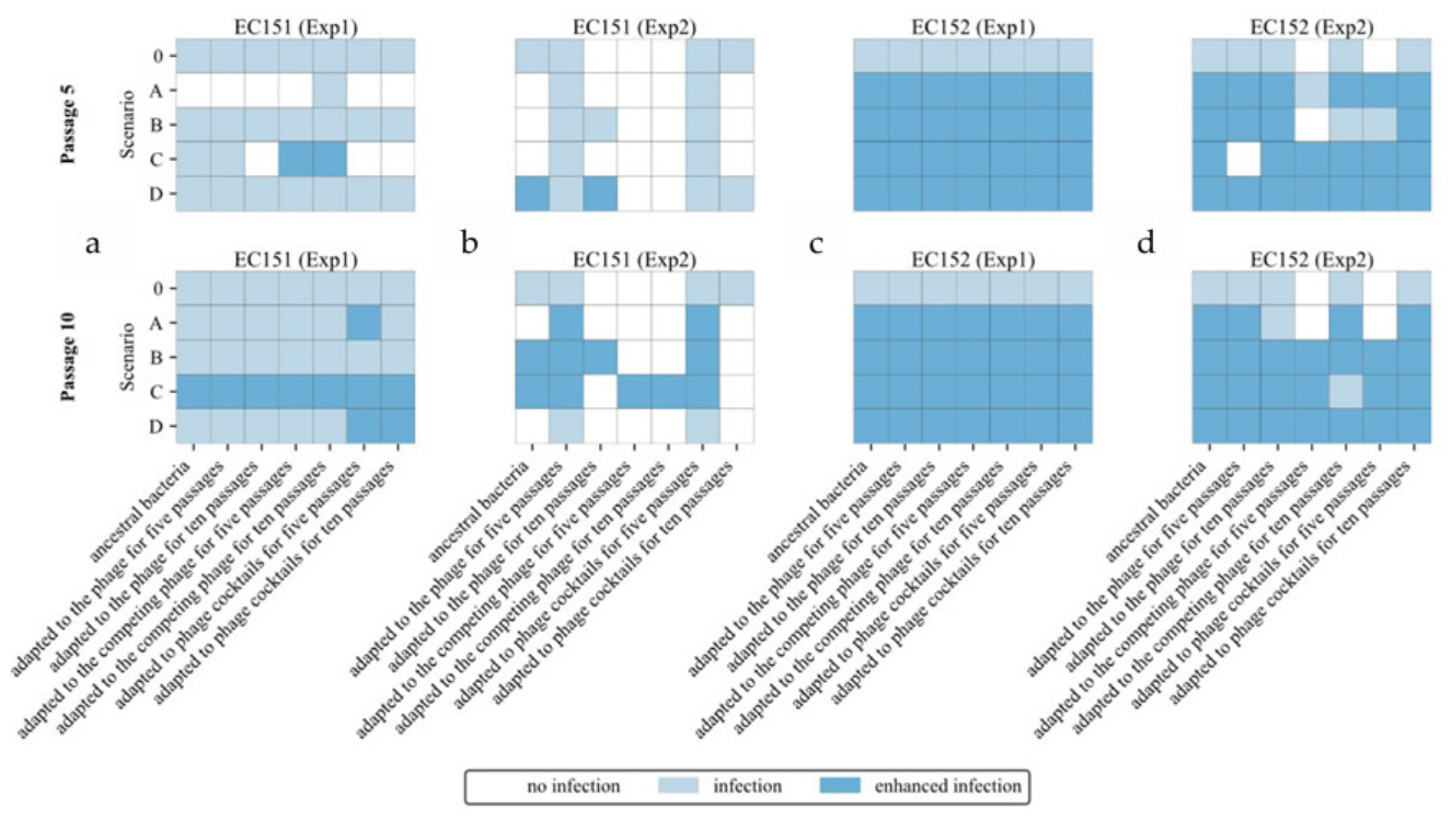 Preprints 211921 g003 Preprints 211921 g003