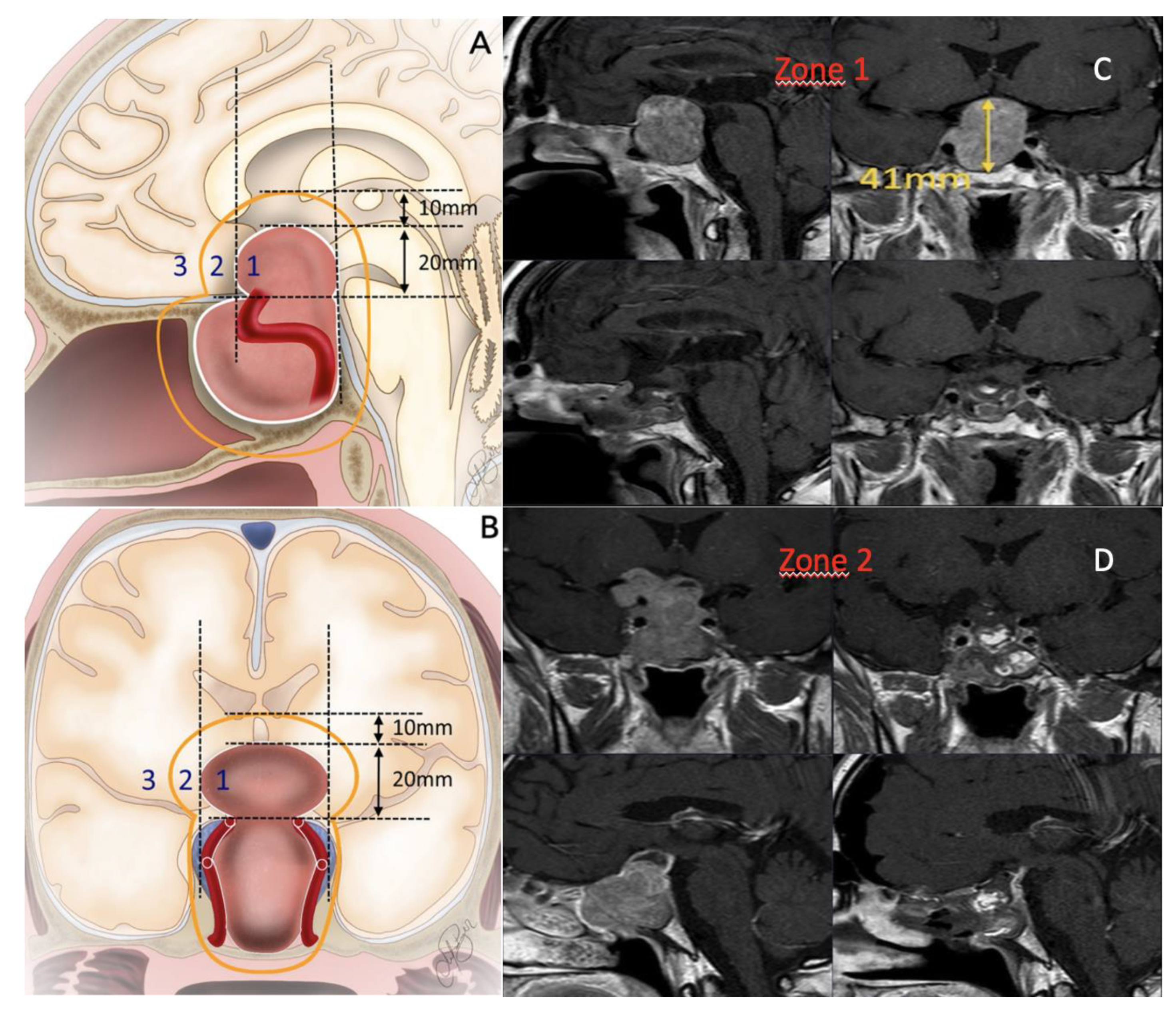 Preprints 150864 g001