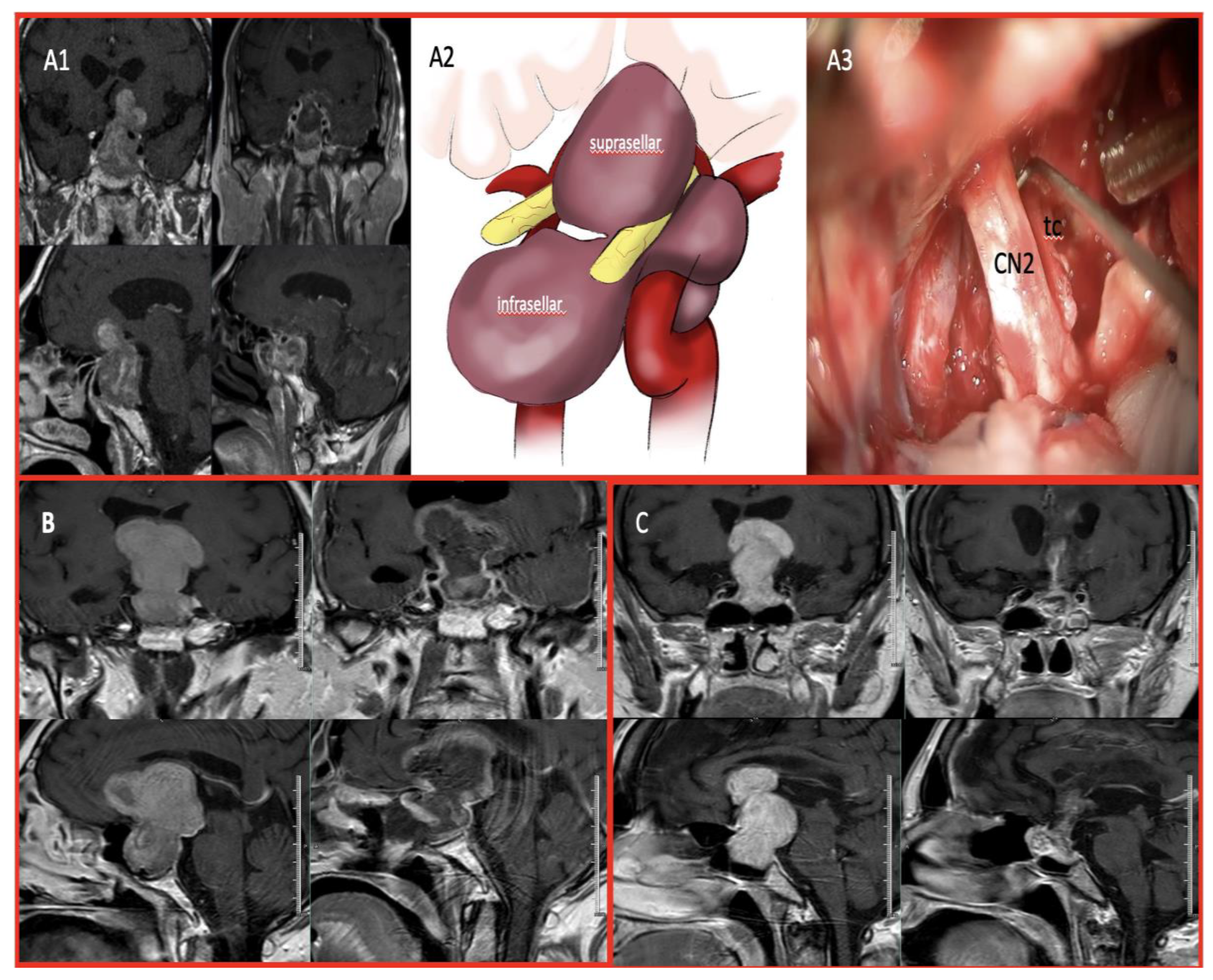 Preprints 150864 g002