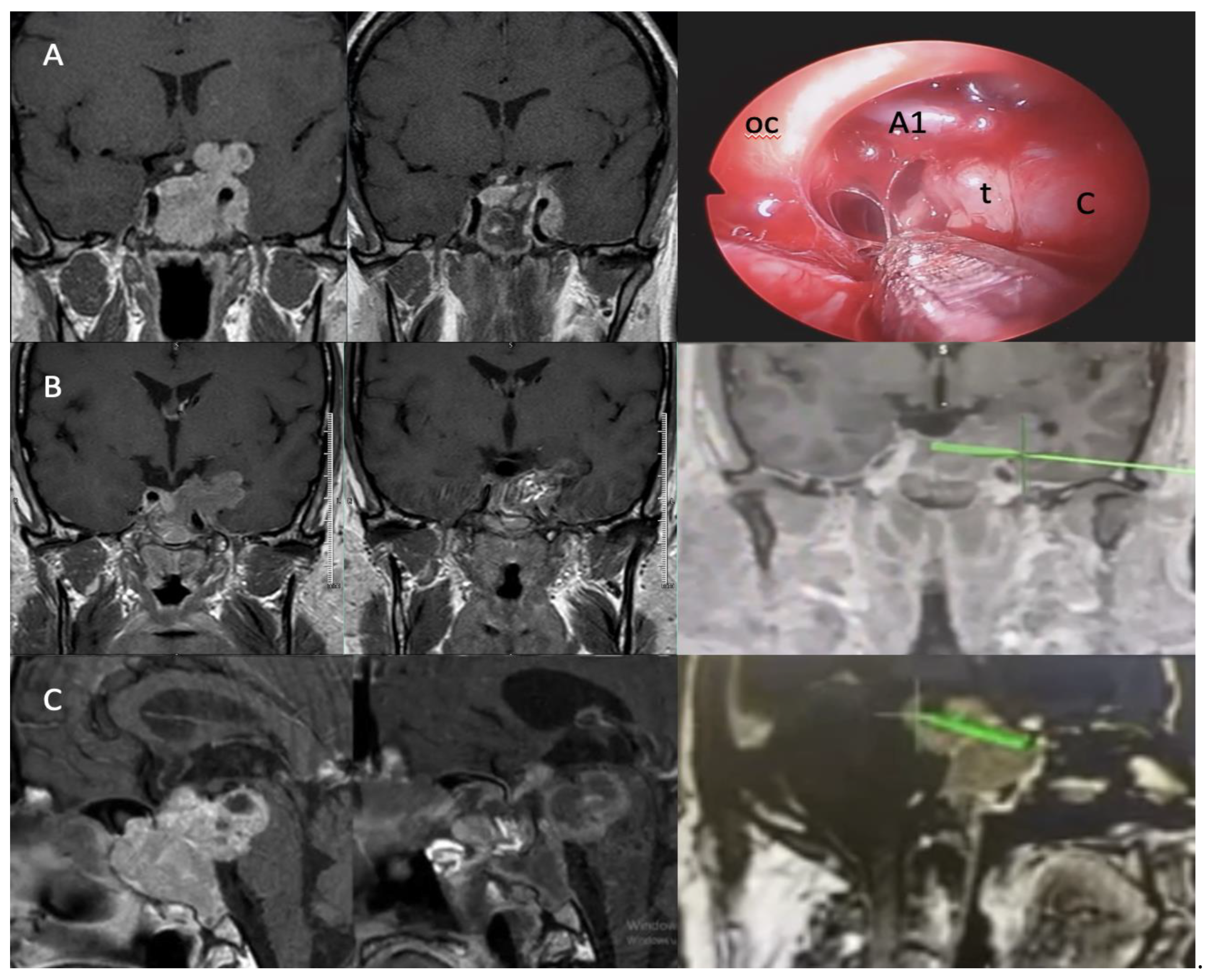 Preprints 150864 g003