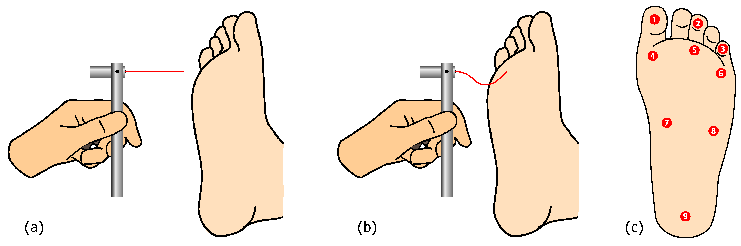 Preprints 104588 g001