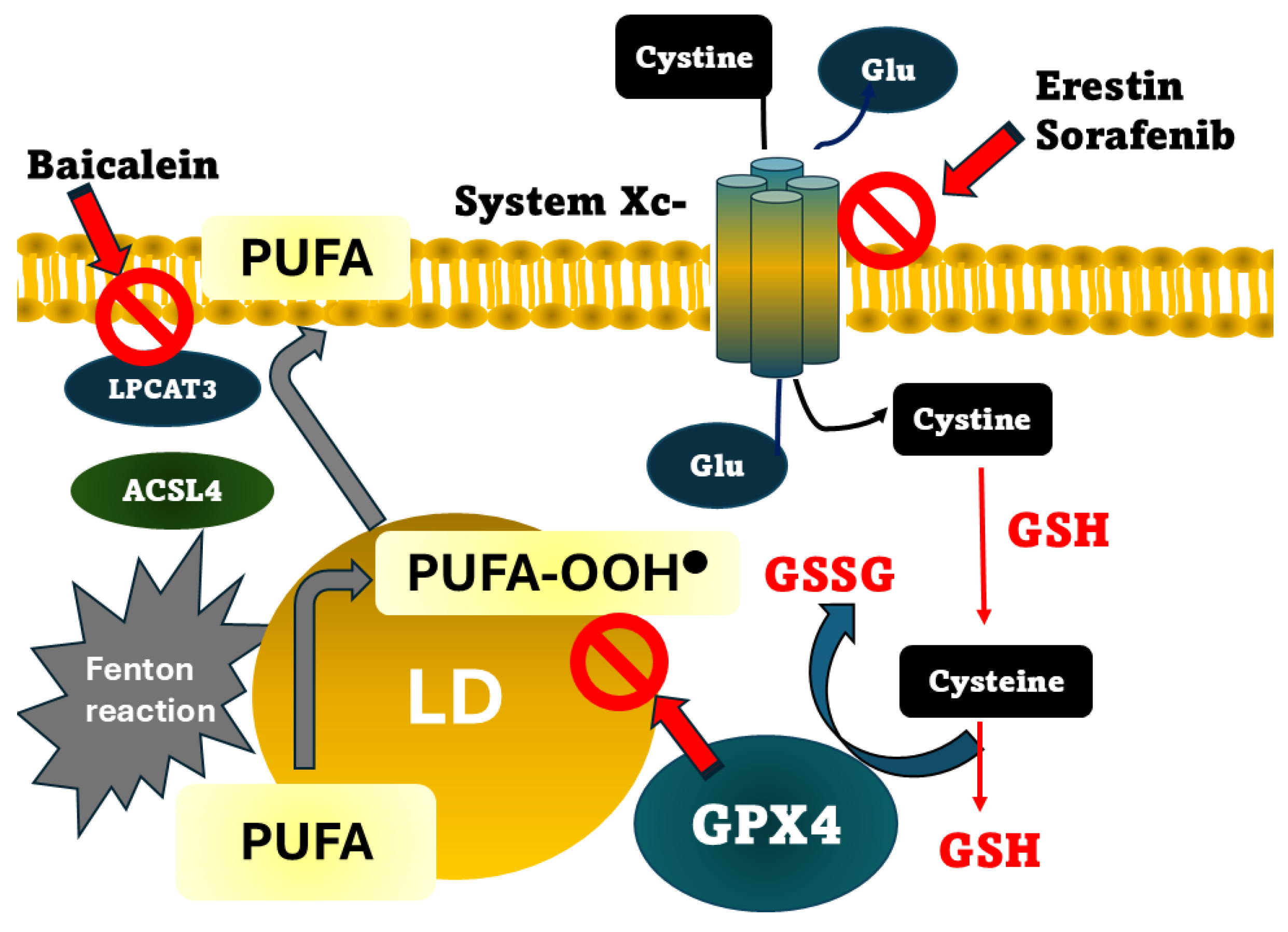 Preprints 197618 g001