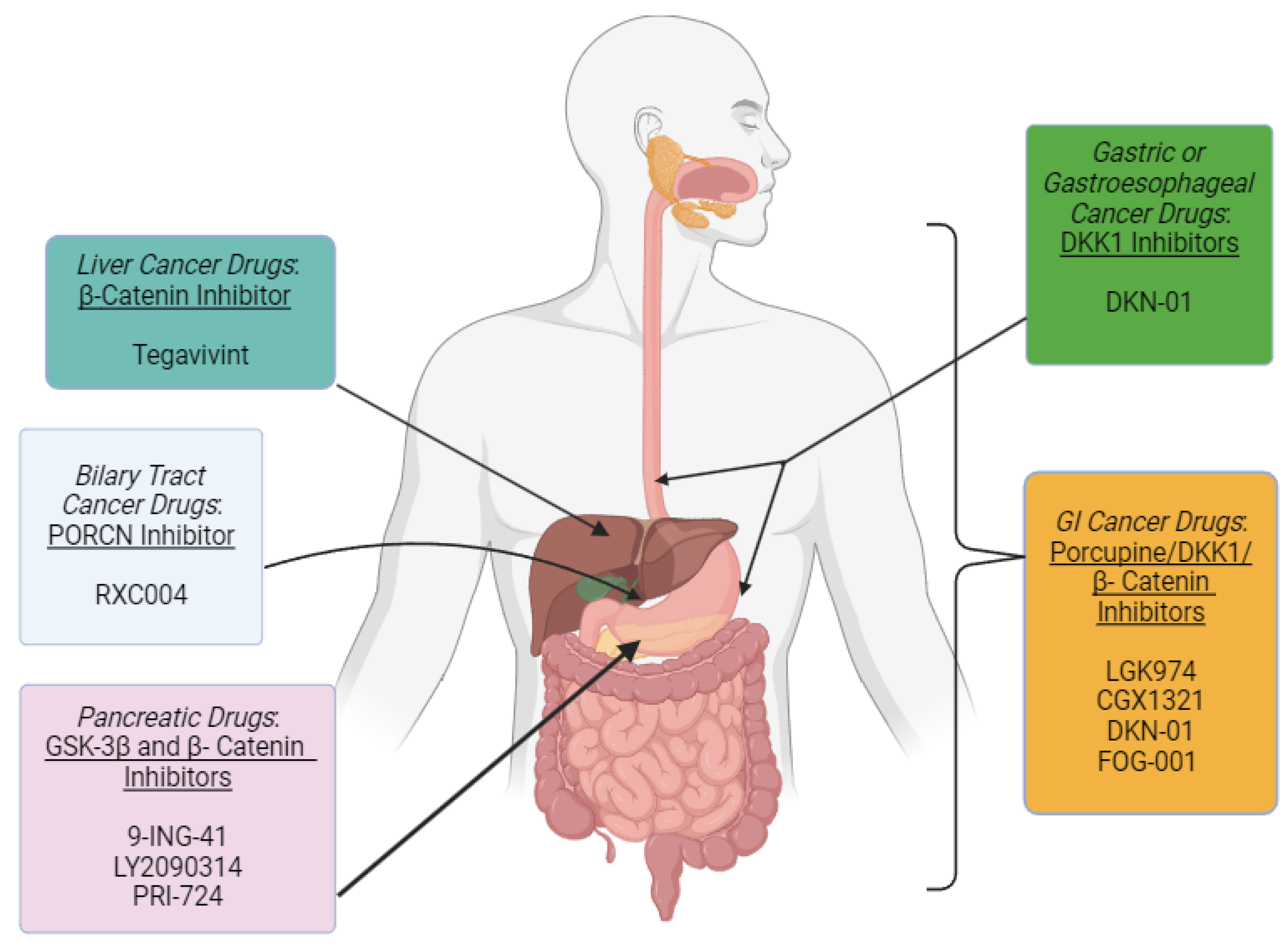 Preprints 142514 g002