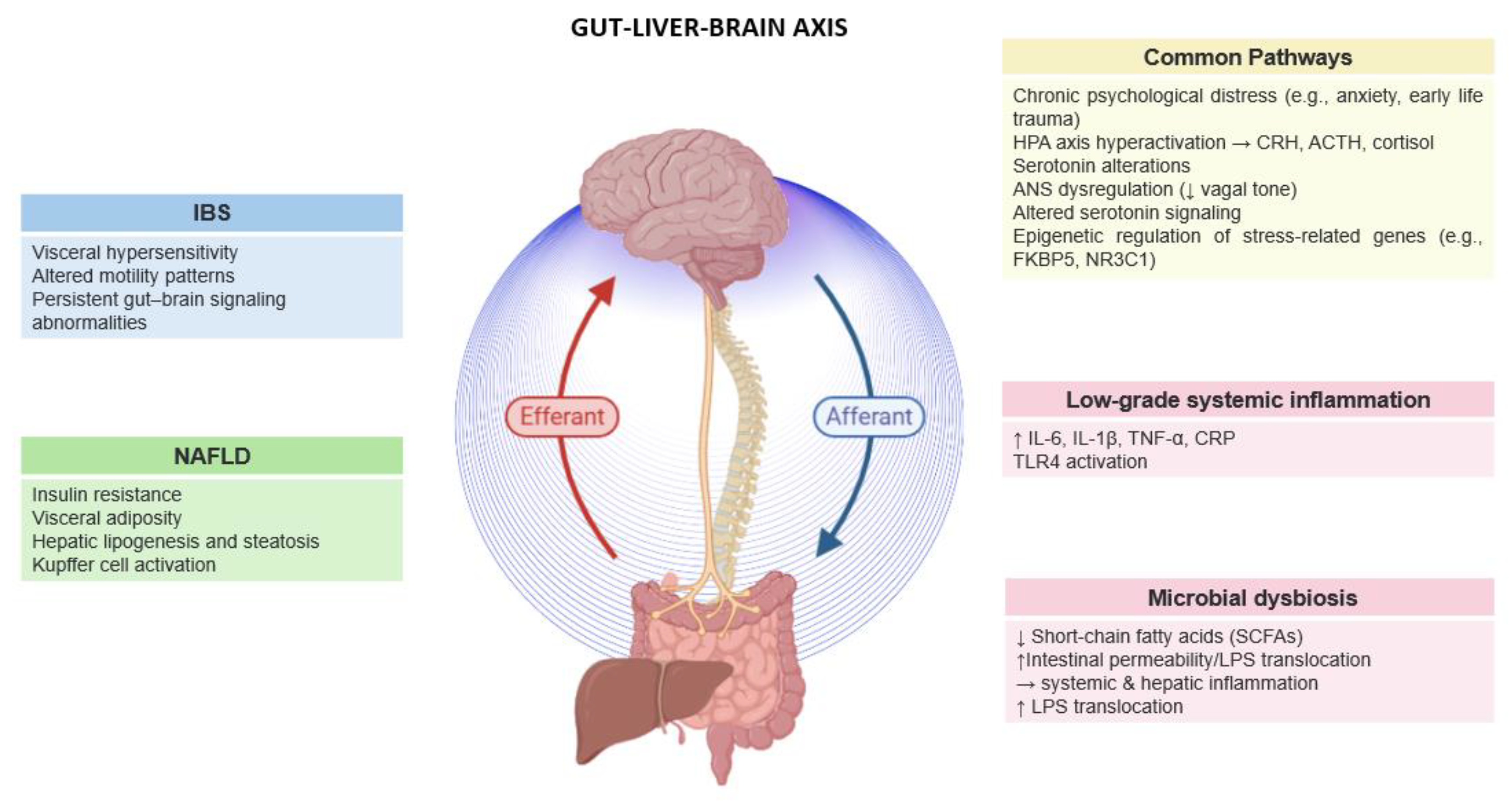 Preprints 166414 g001