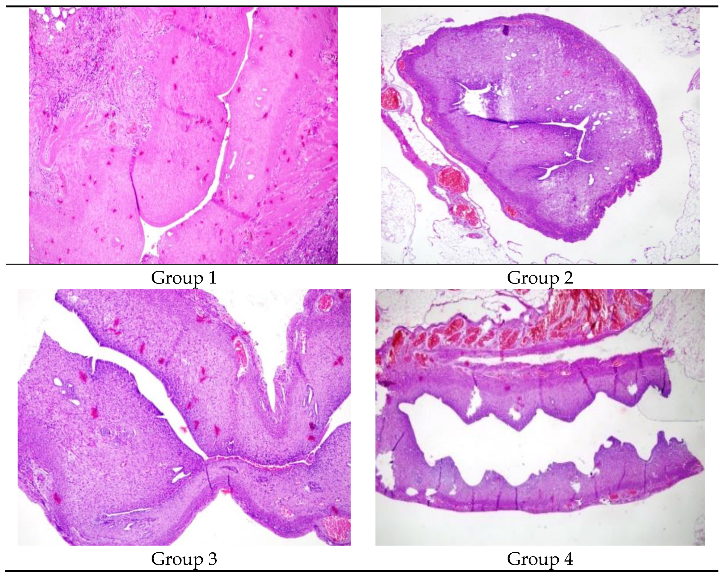 Preprints 148186 g002