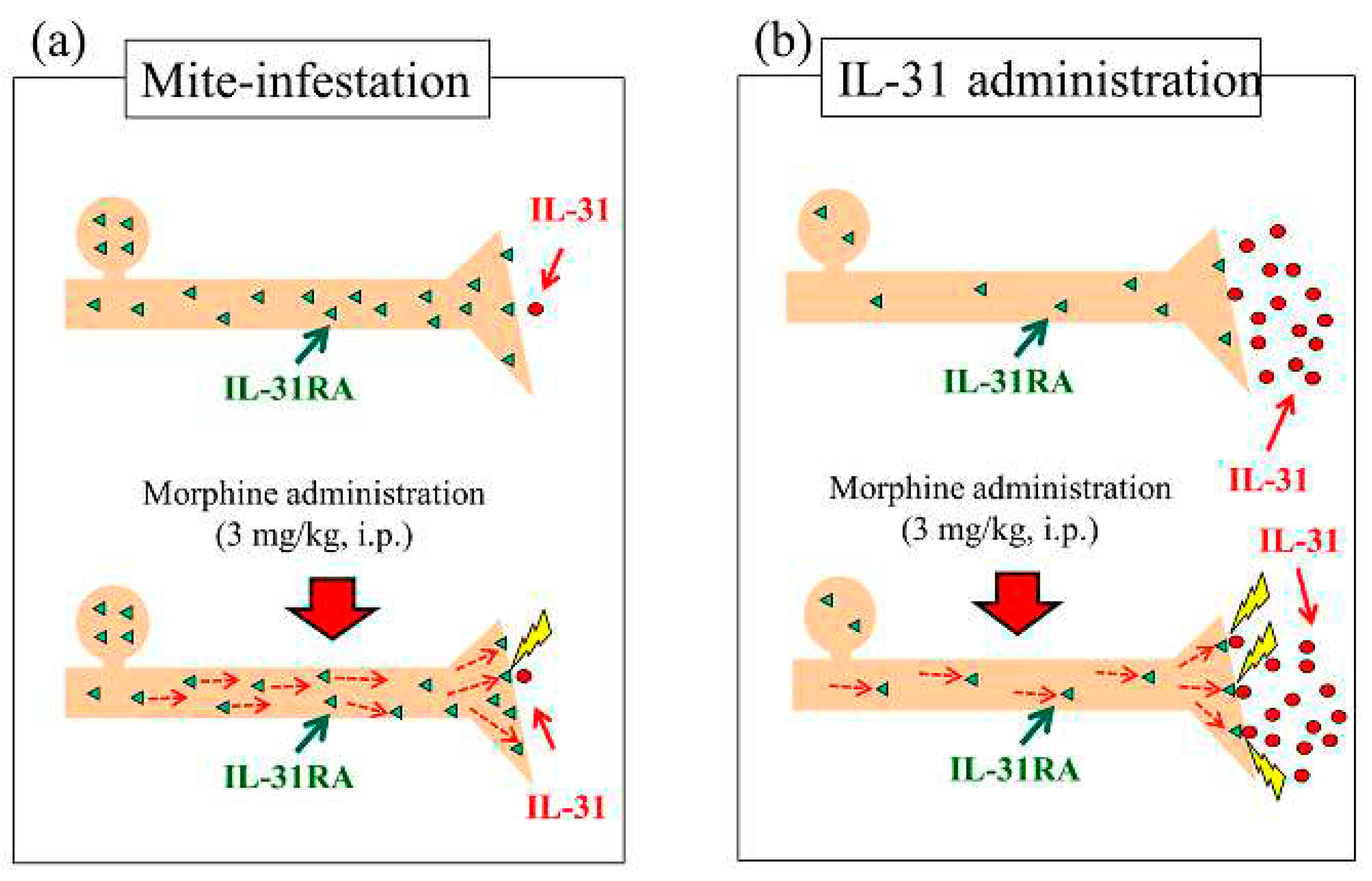 Preprints 88341 g011