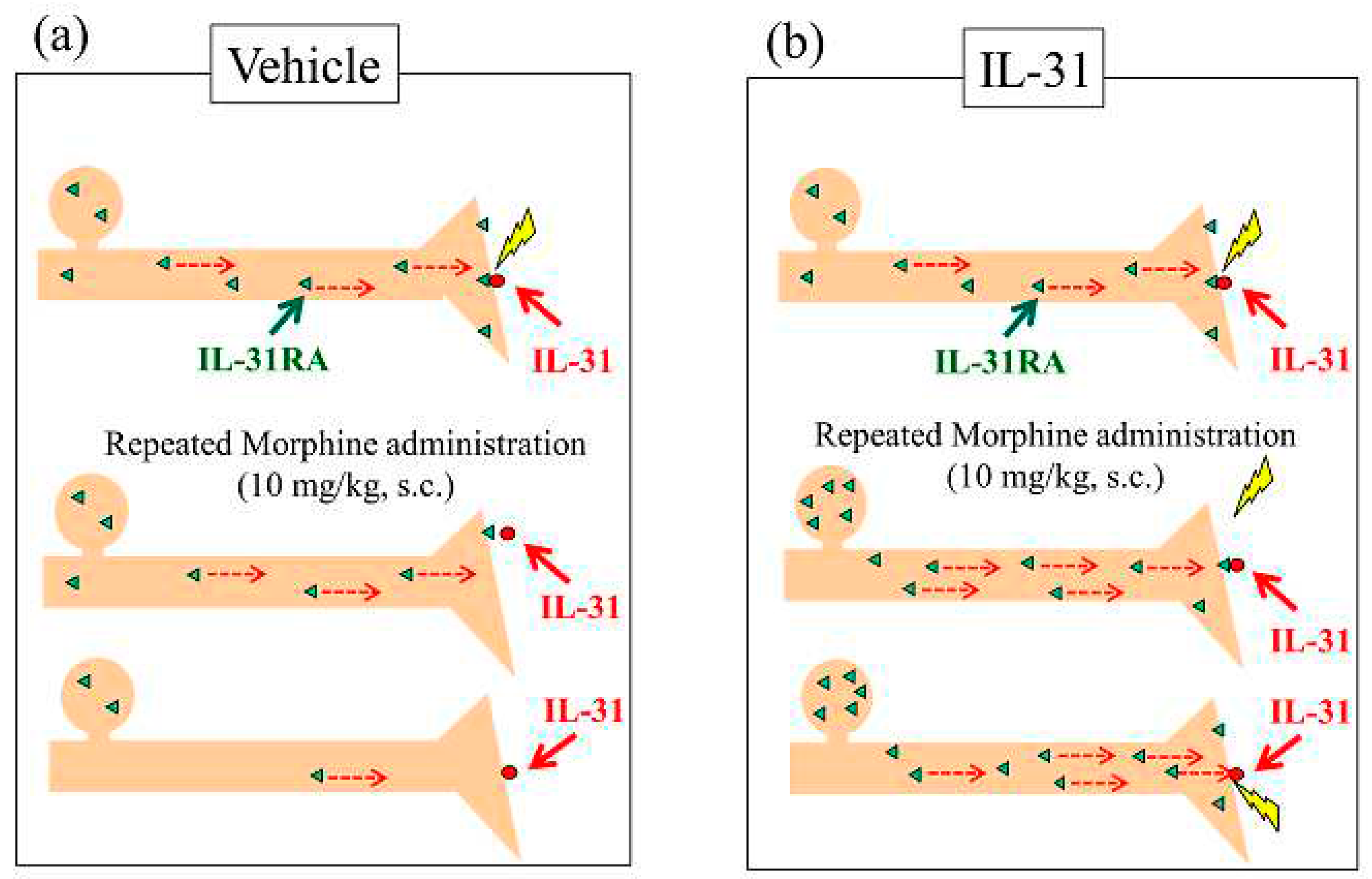 Preprints 88341 g012