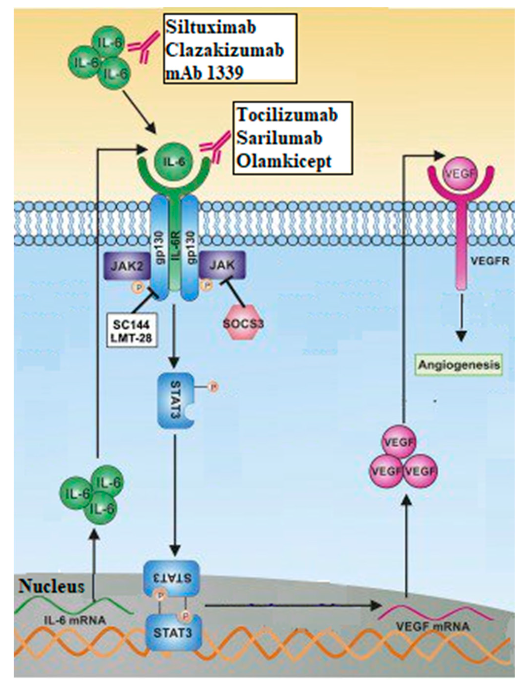 Preprints 83173 g003