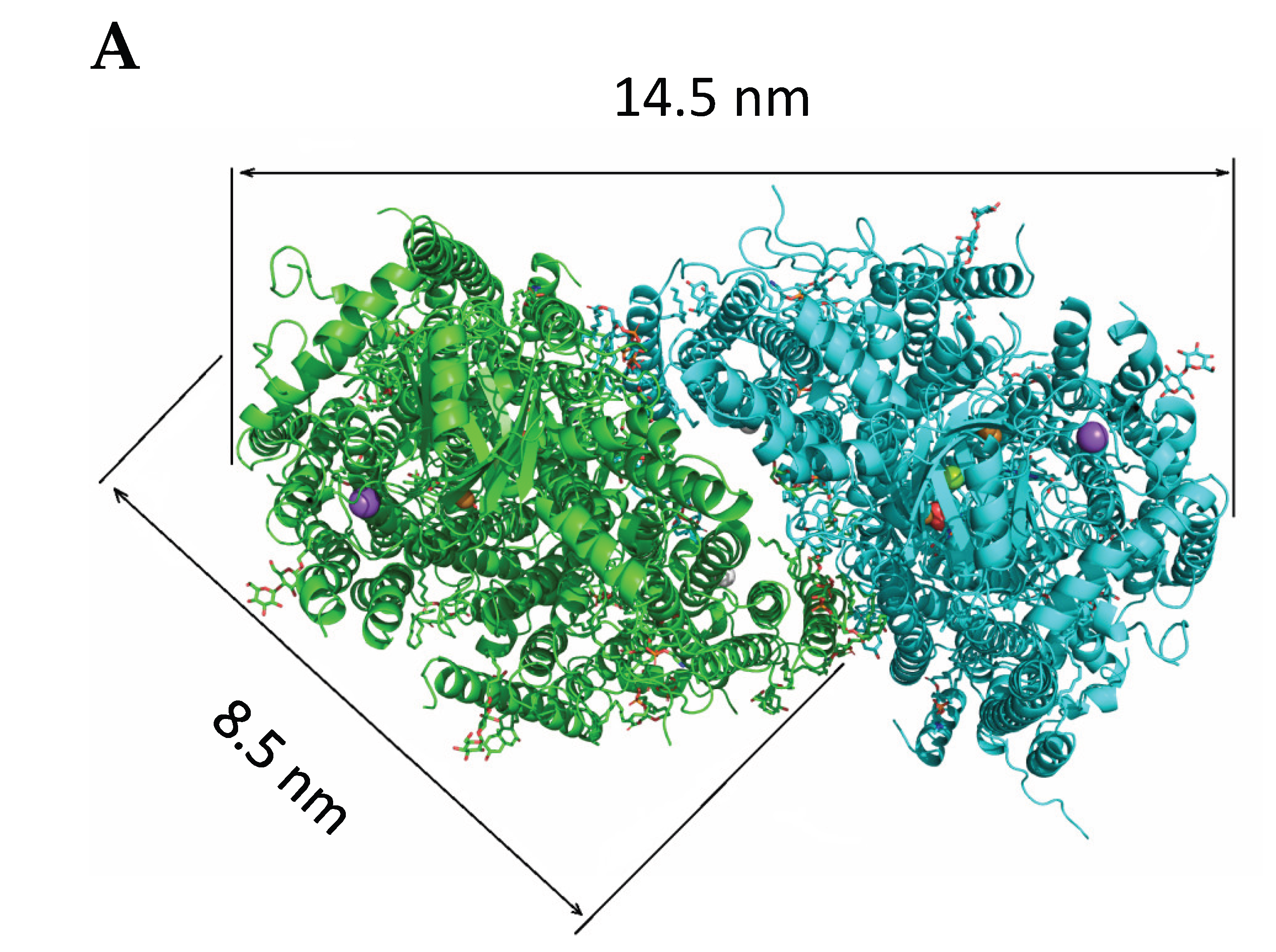 Preprints 229680 g001a