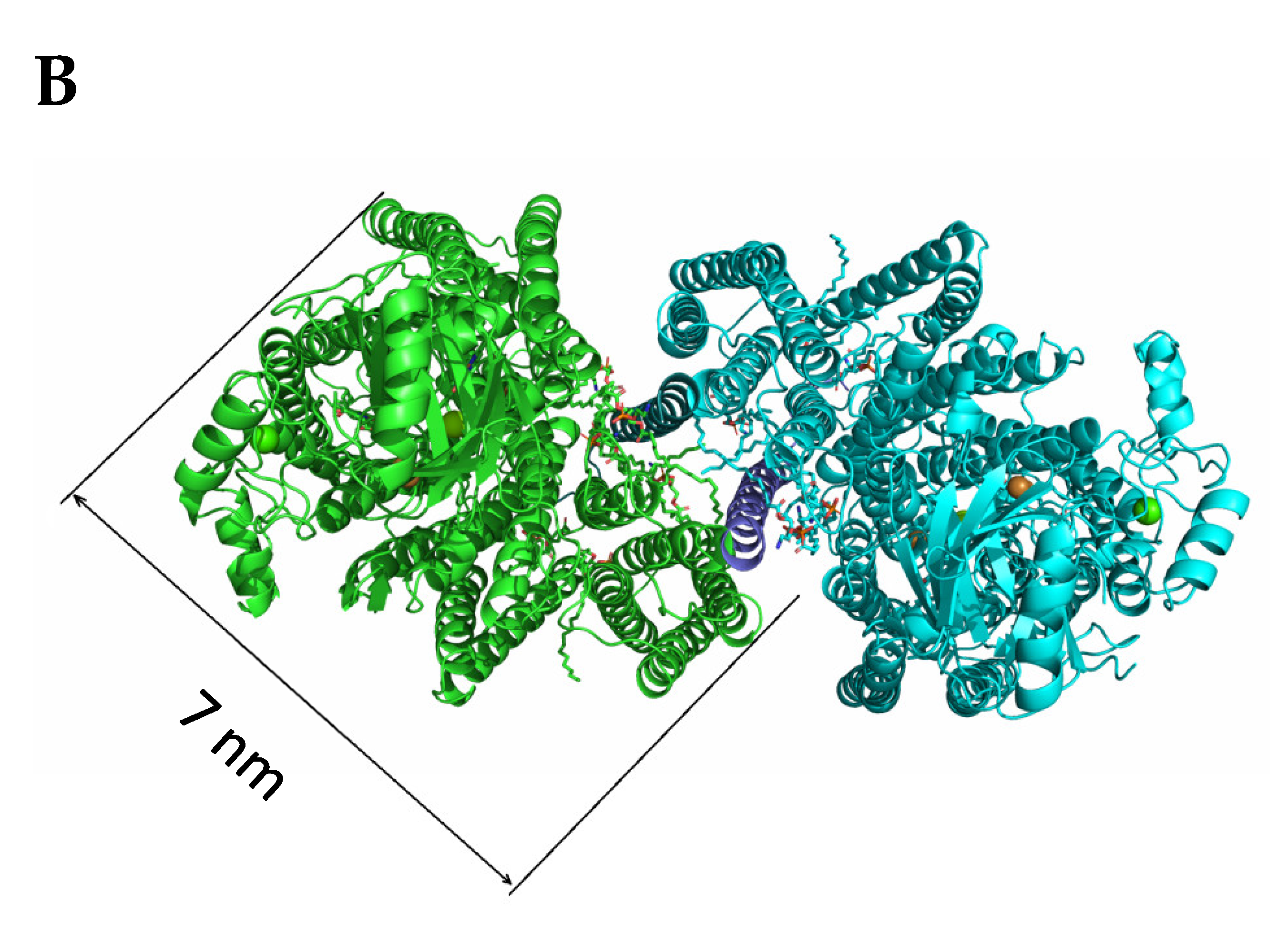 Preprints 229680 g001b