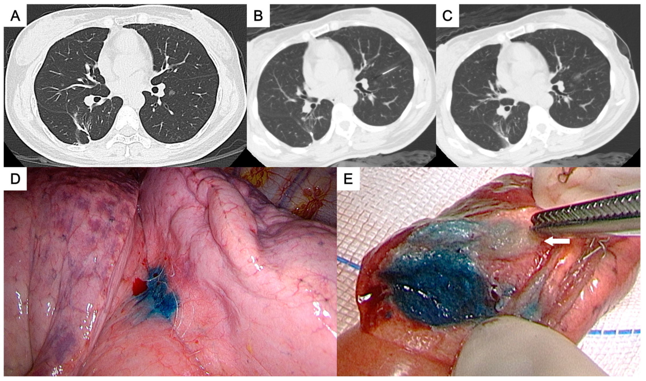Preprints 159076 g001