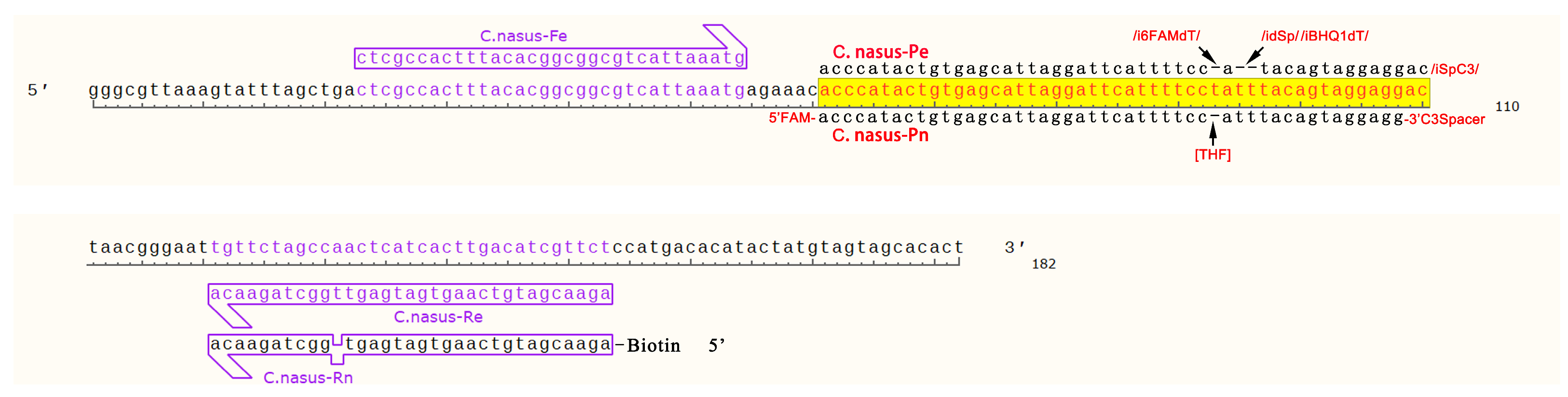 Preprints 172372 g001