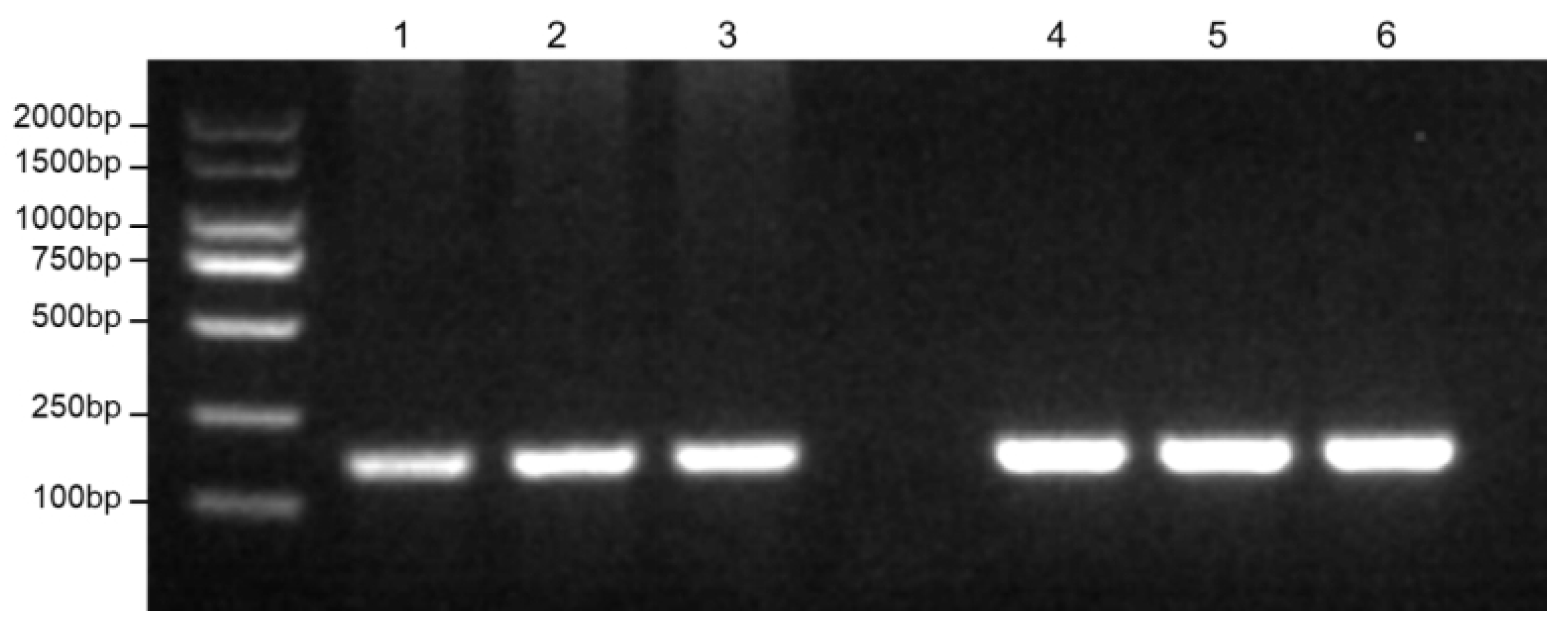 Preprints 172372 g002