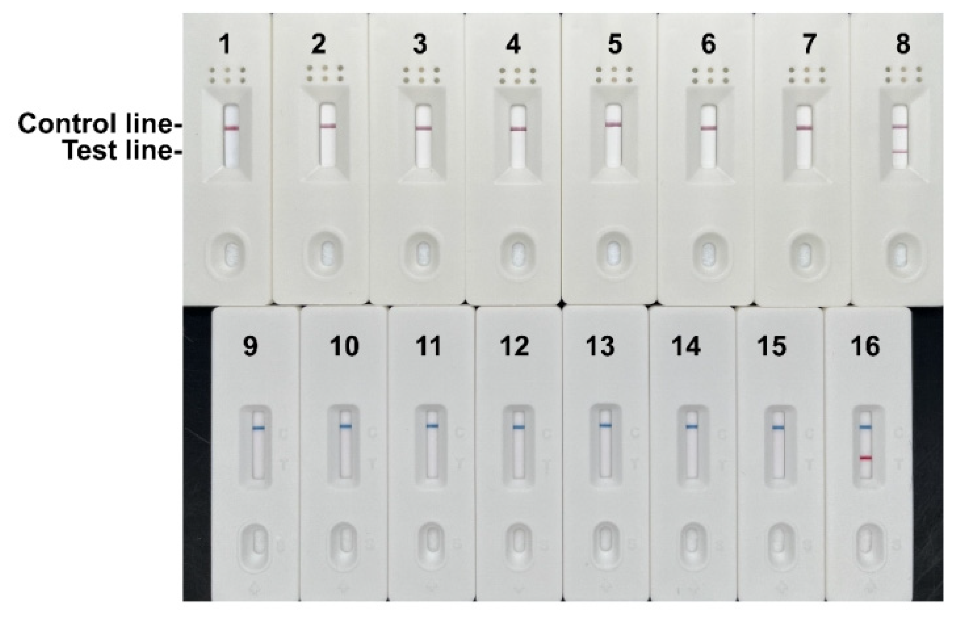 Preprints 172372 g005