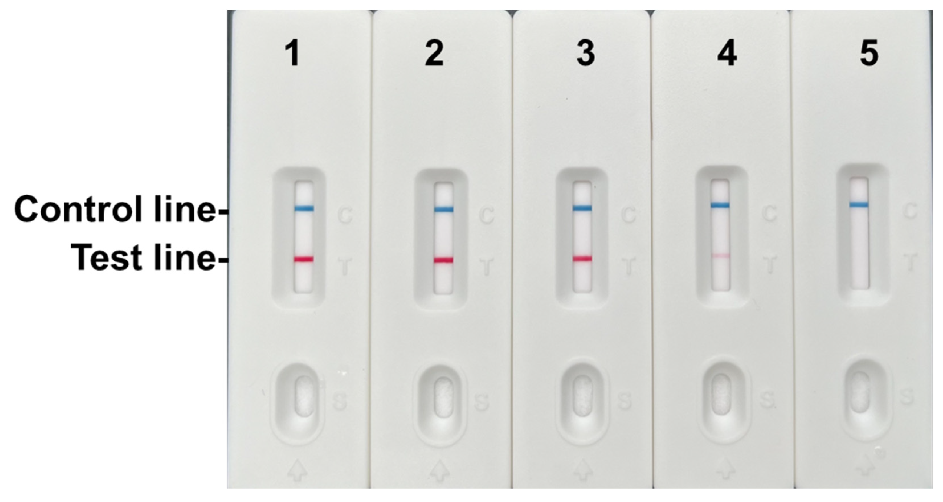 Preprints 172372 g006