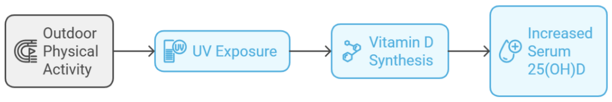Preprints 214338 g003
