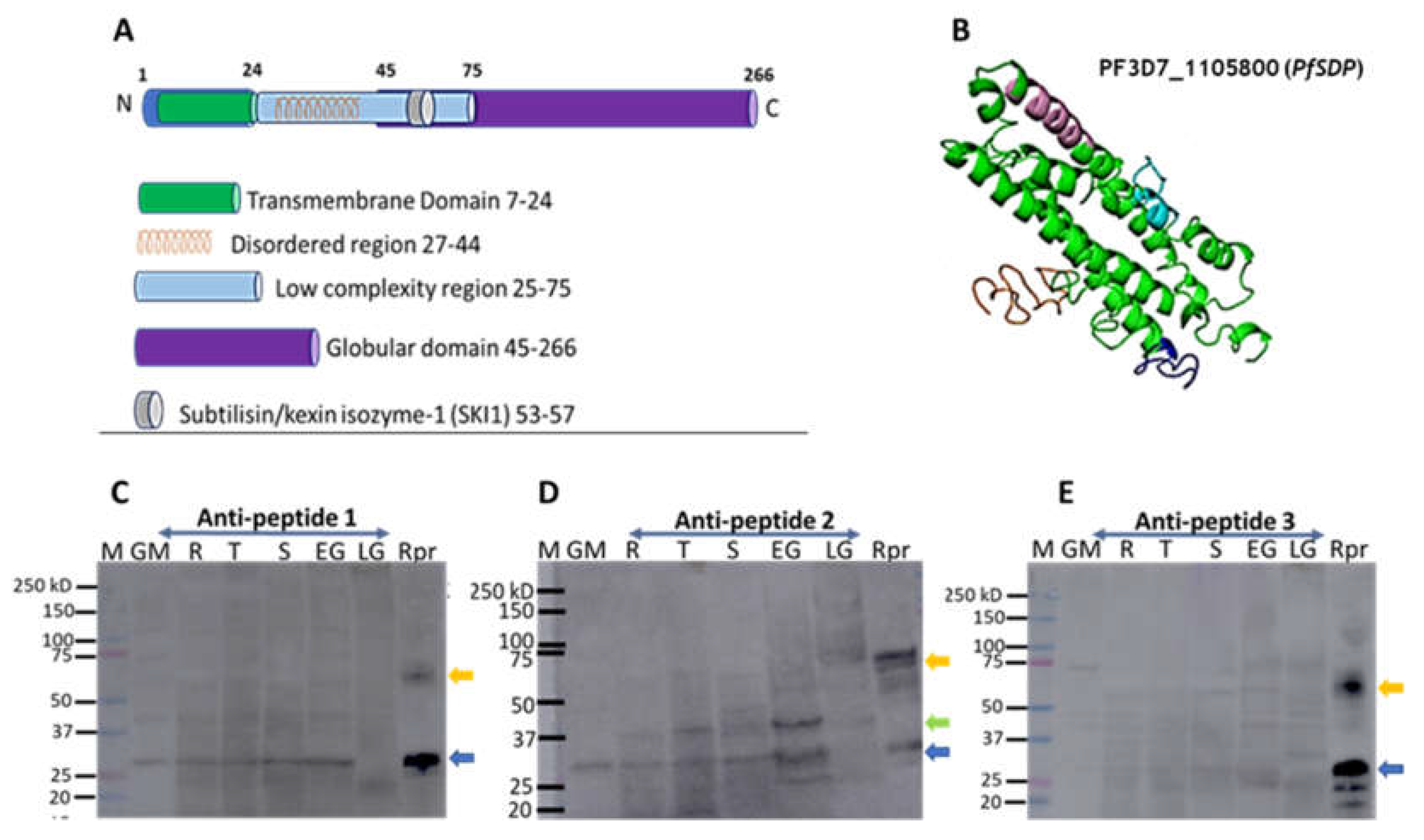 Preprints 154742 g003