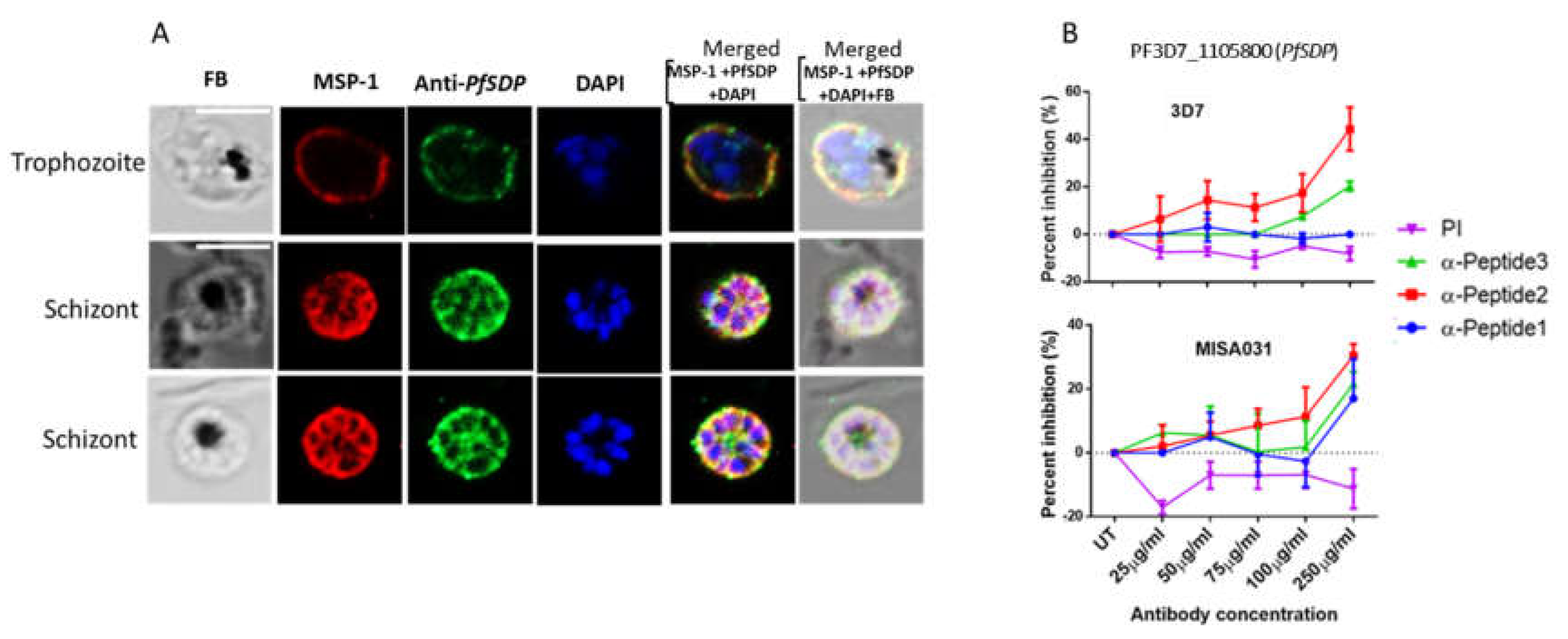 Preprints 154742 g004