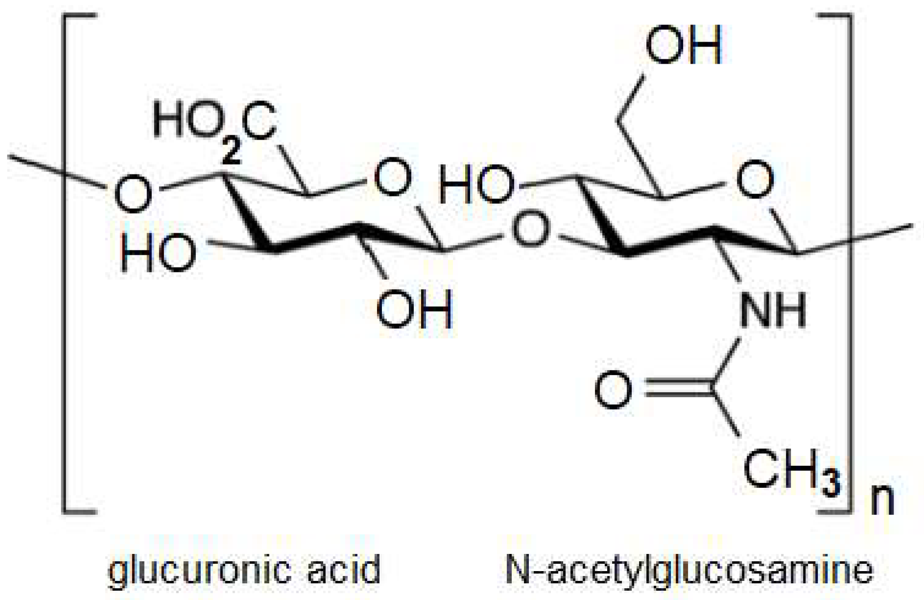 Preprints 142443 g001