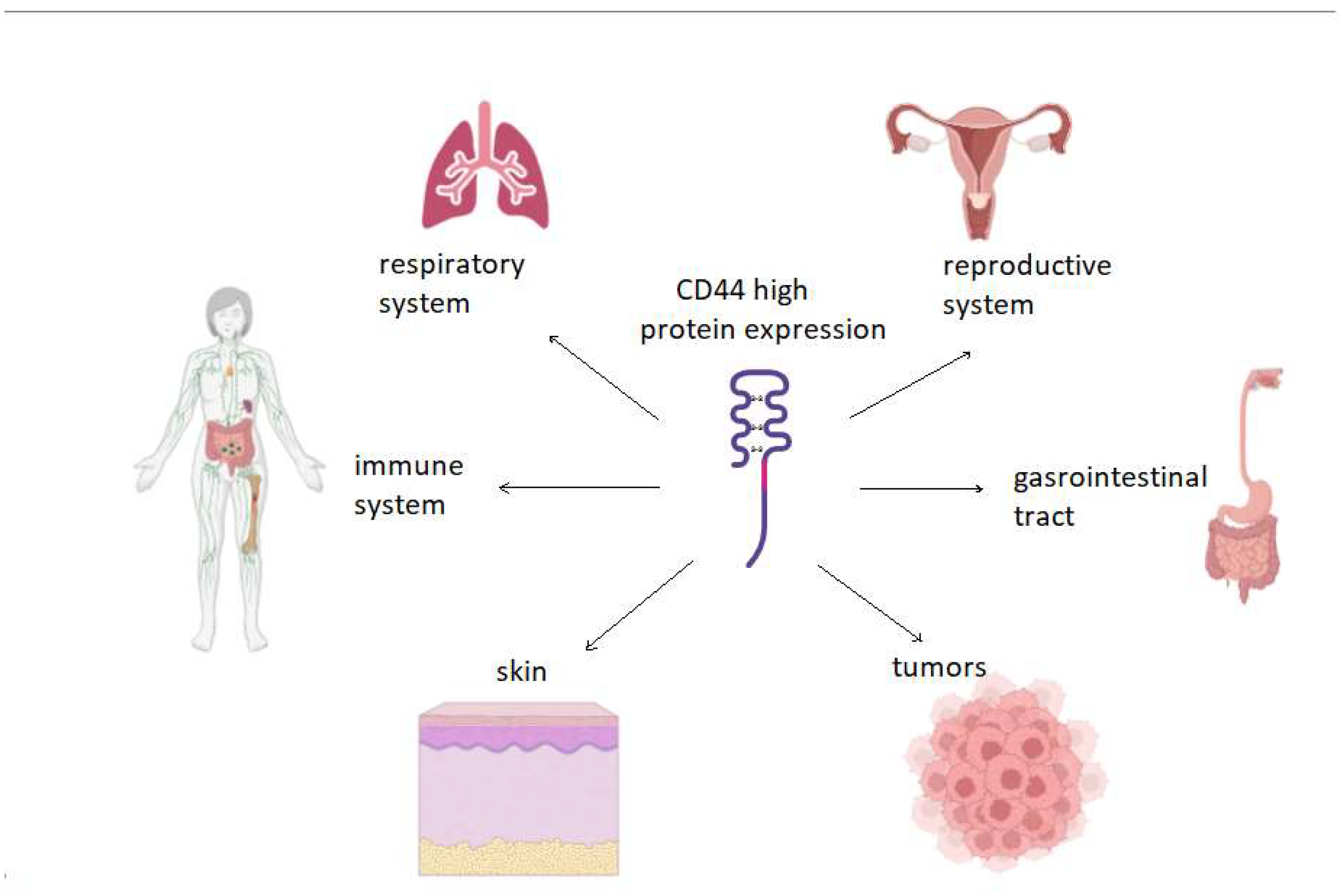 Preprints 142443 g002