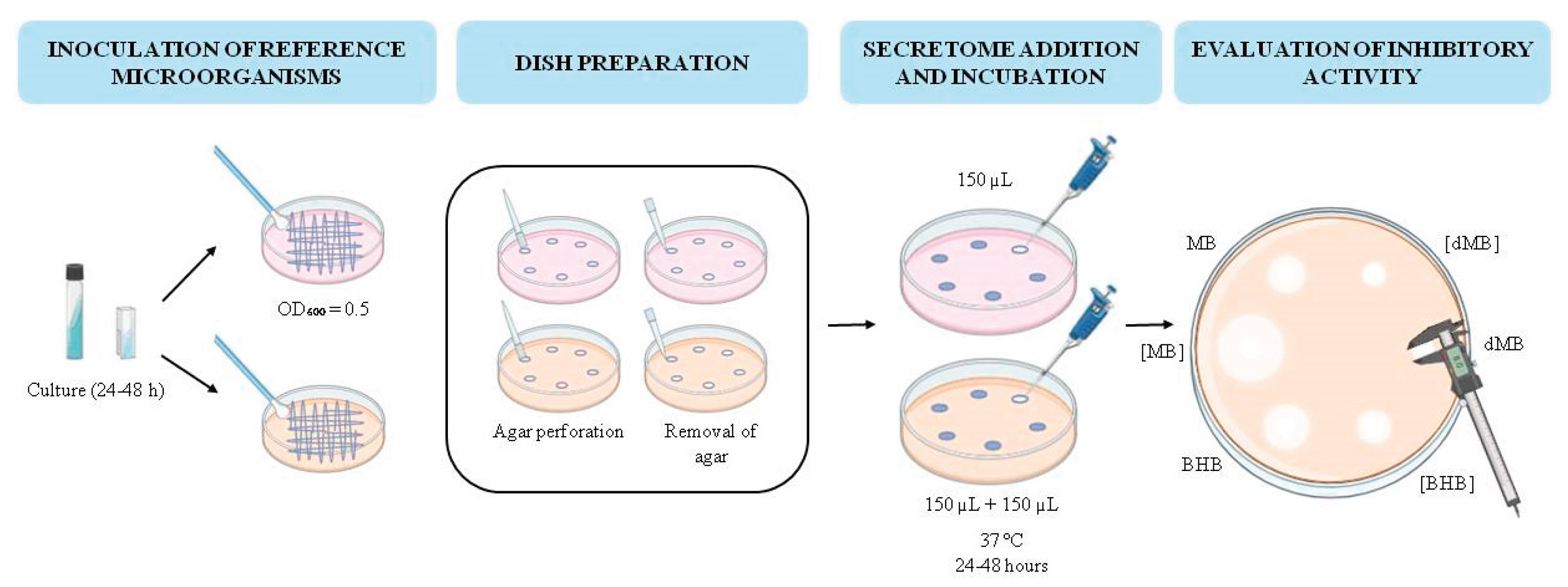 Antimicrobial Potential of the Marine Bacterium Marinomonas ...
