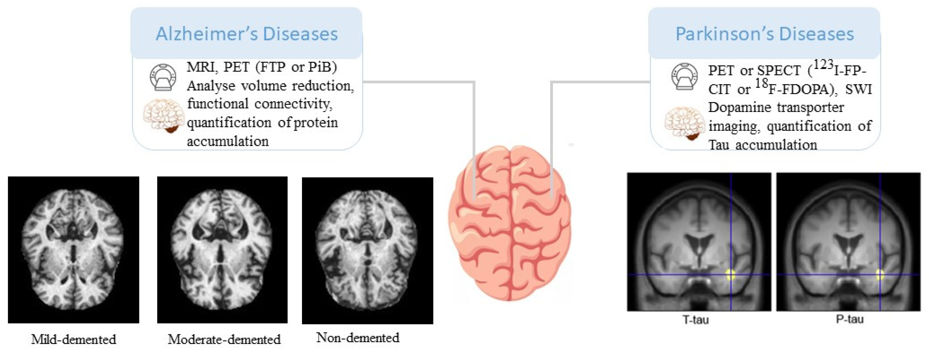 Preprints 84293 g001