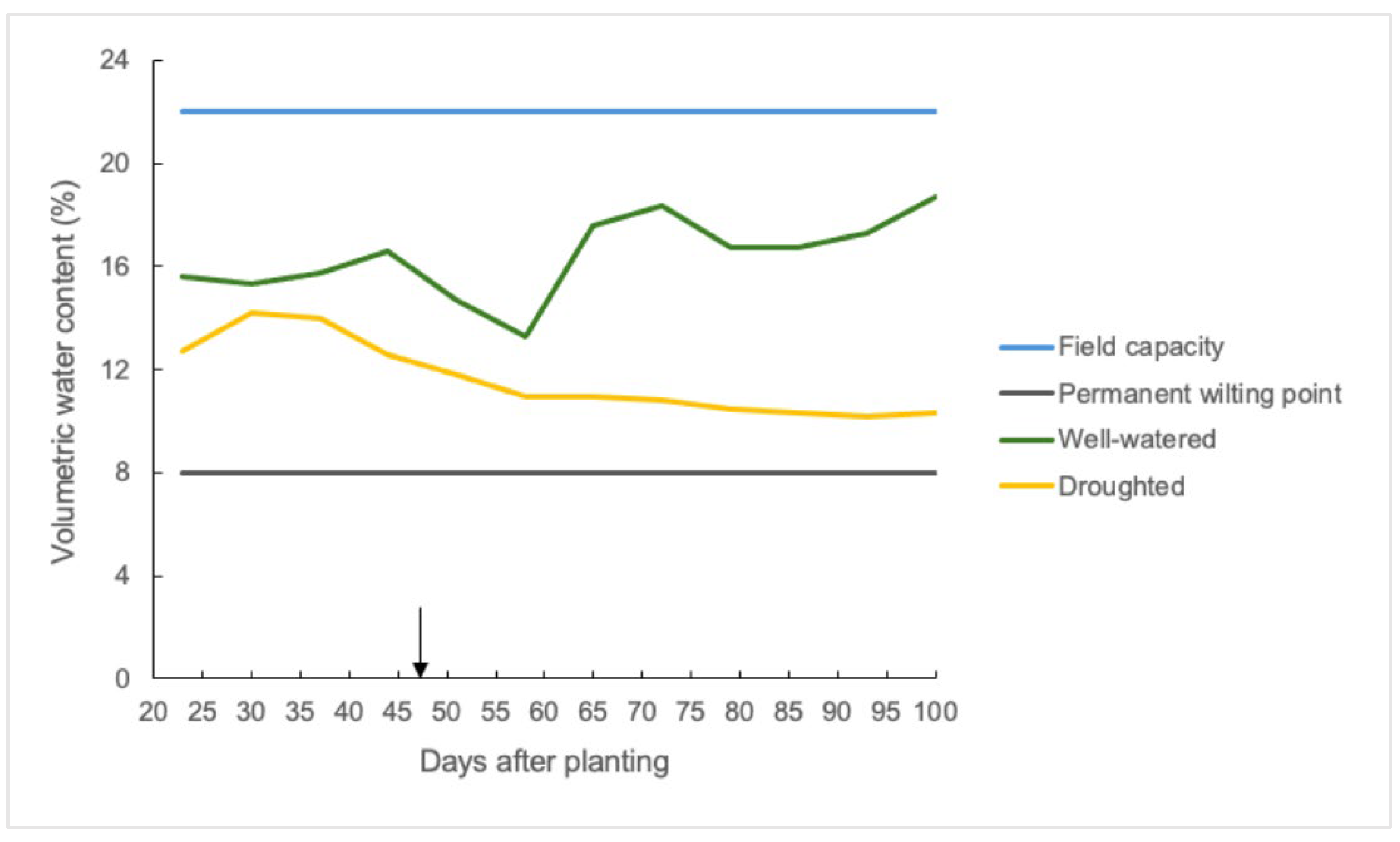 Preprints 169016 g001