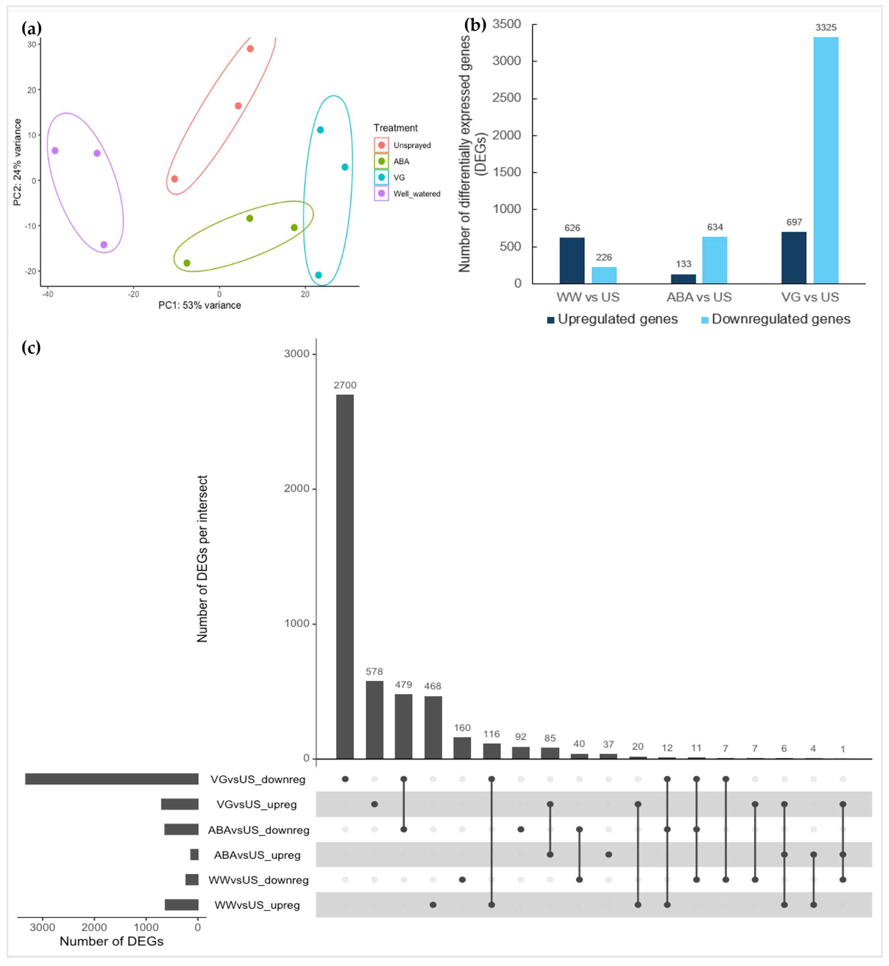 Preprints 169016 g002
