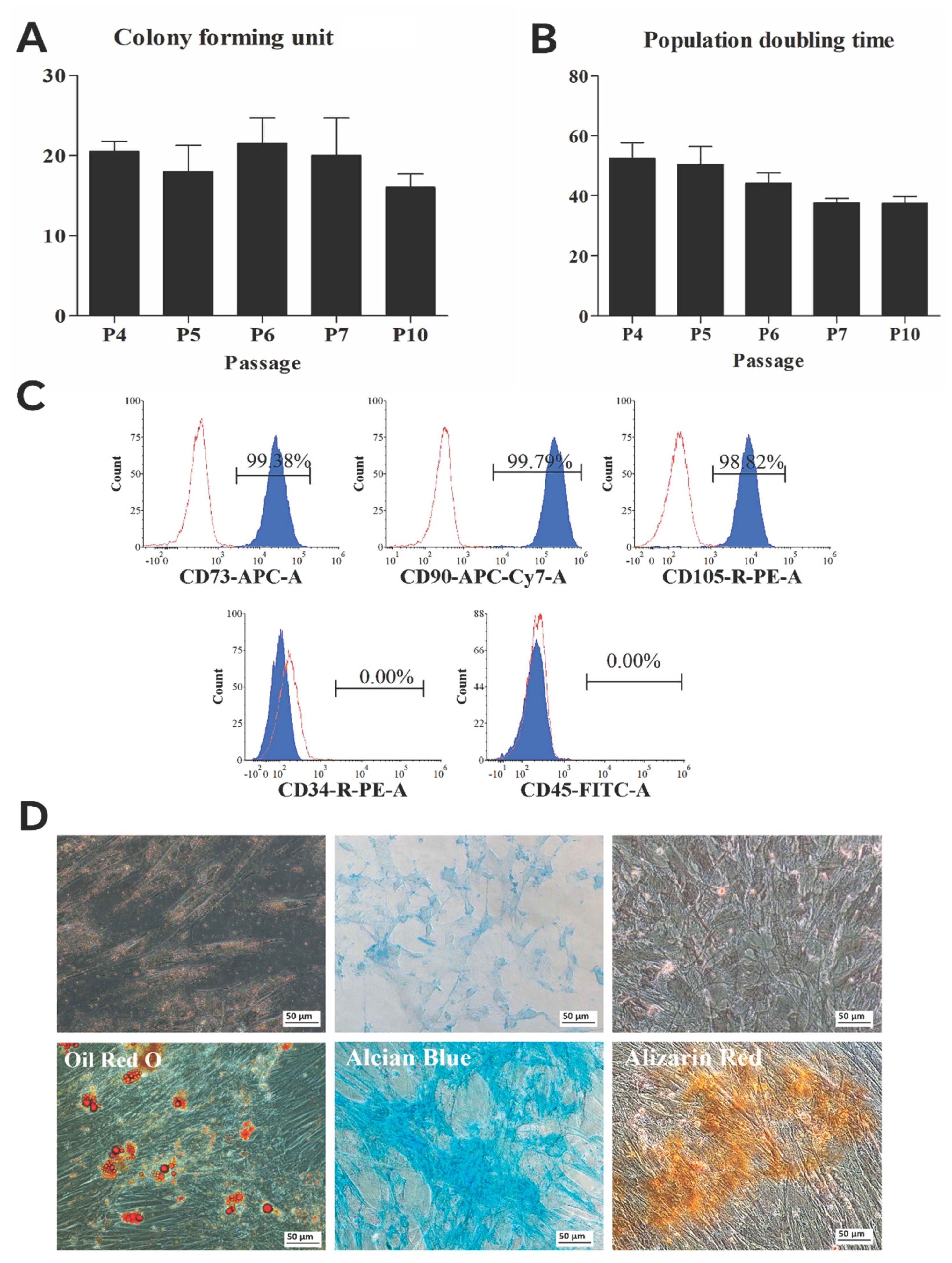 Preprints 195732 g001