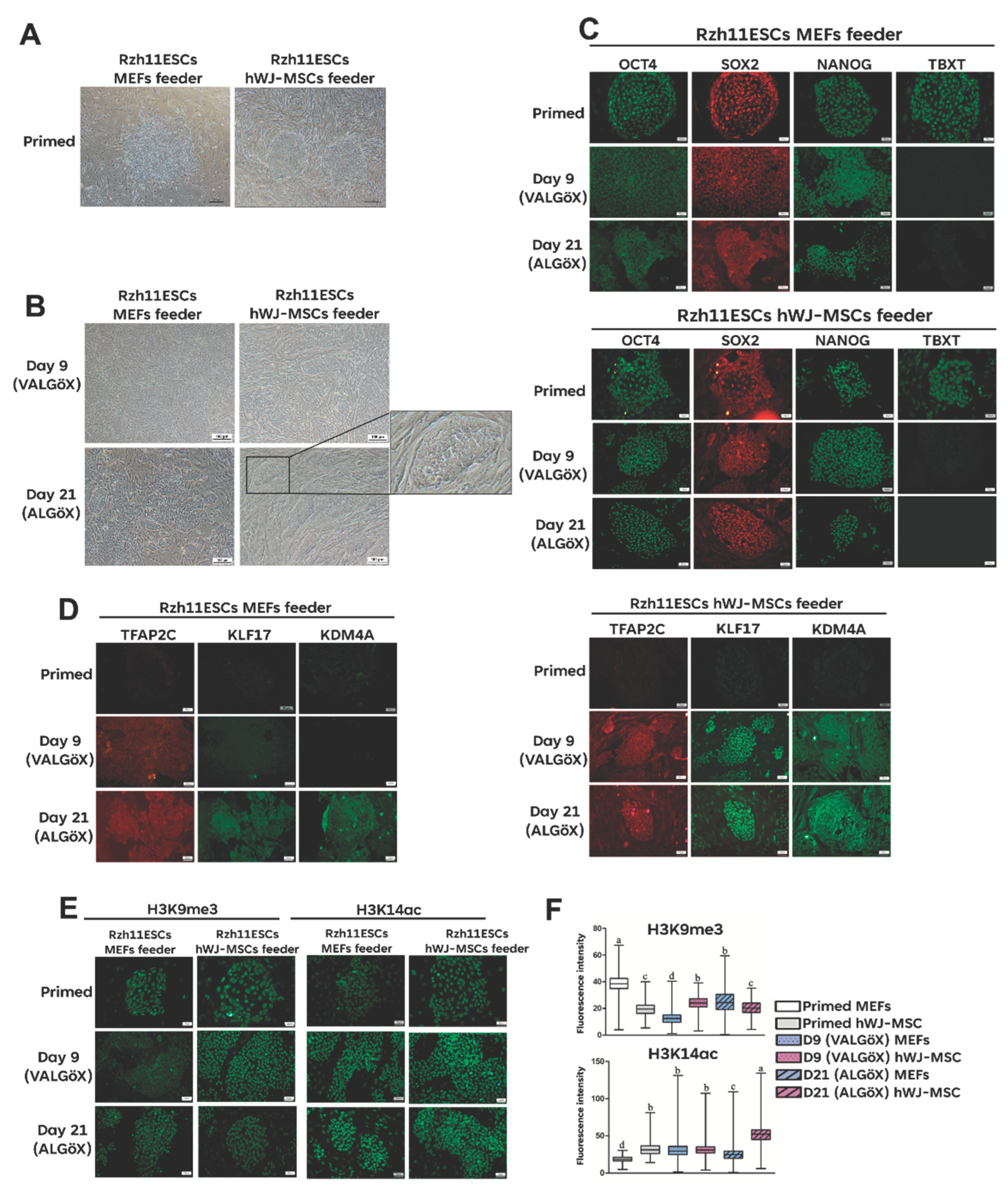 Preprints 195732 g002