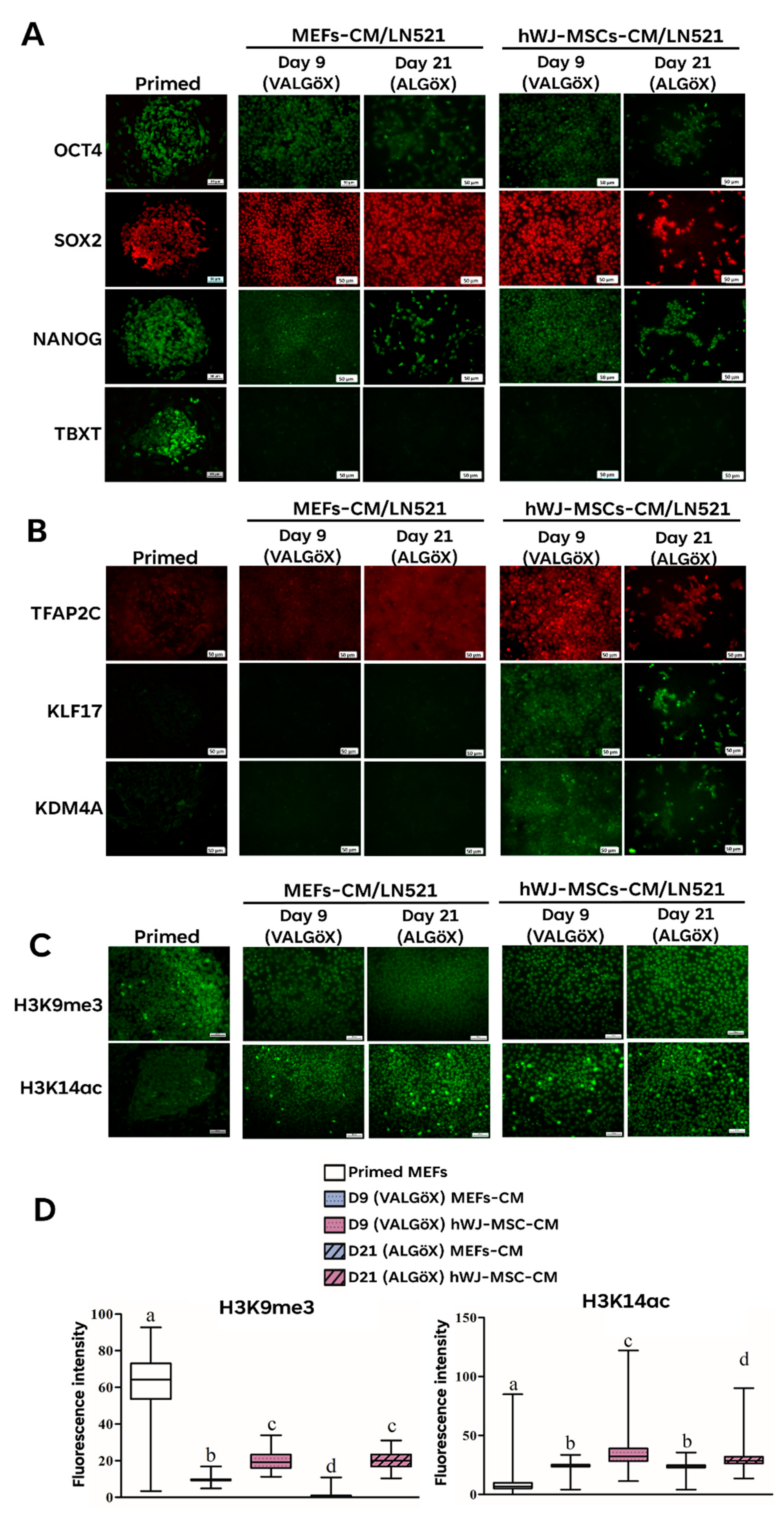 Preprints 195732 g003