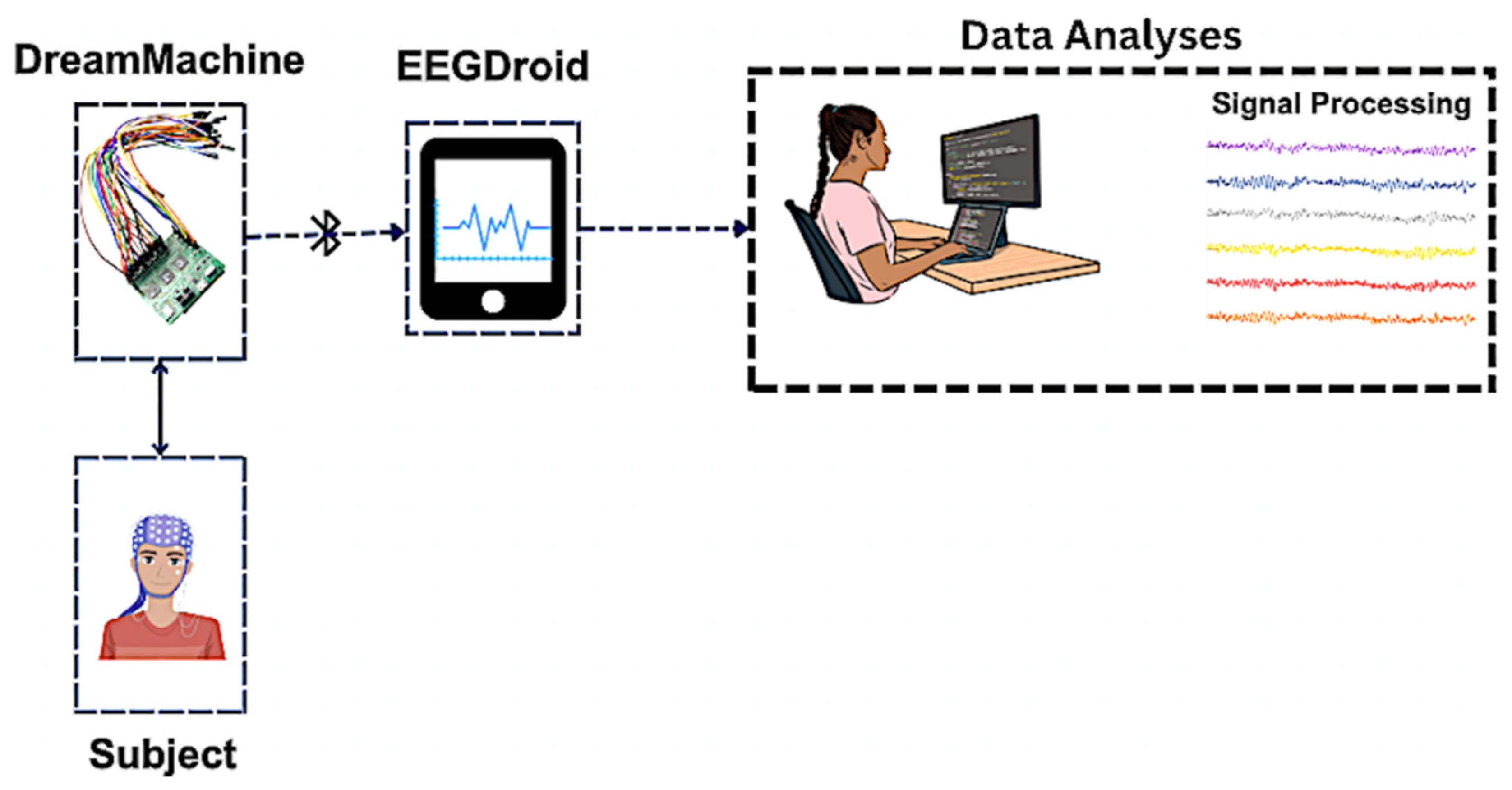 Preprints 145361 g005