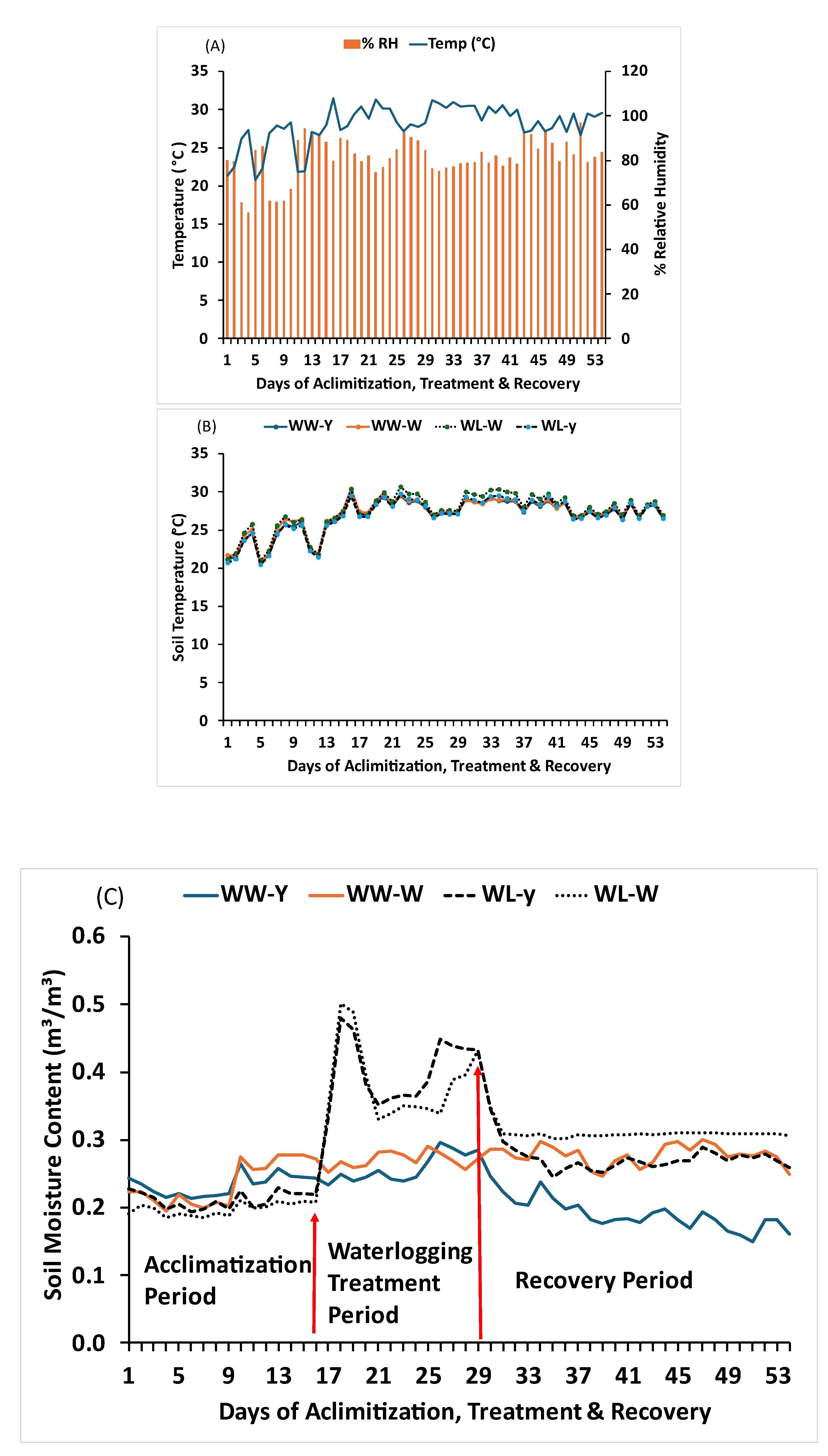 Preprints 186667 g001
