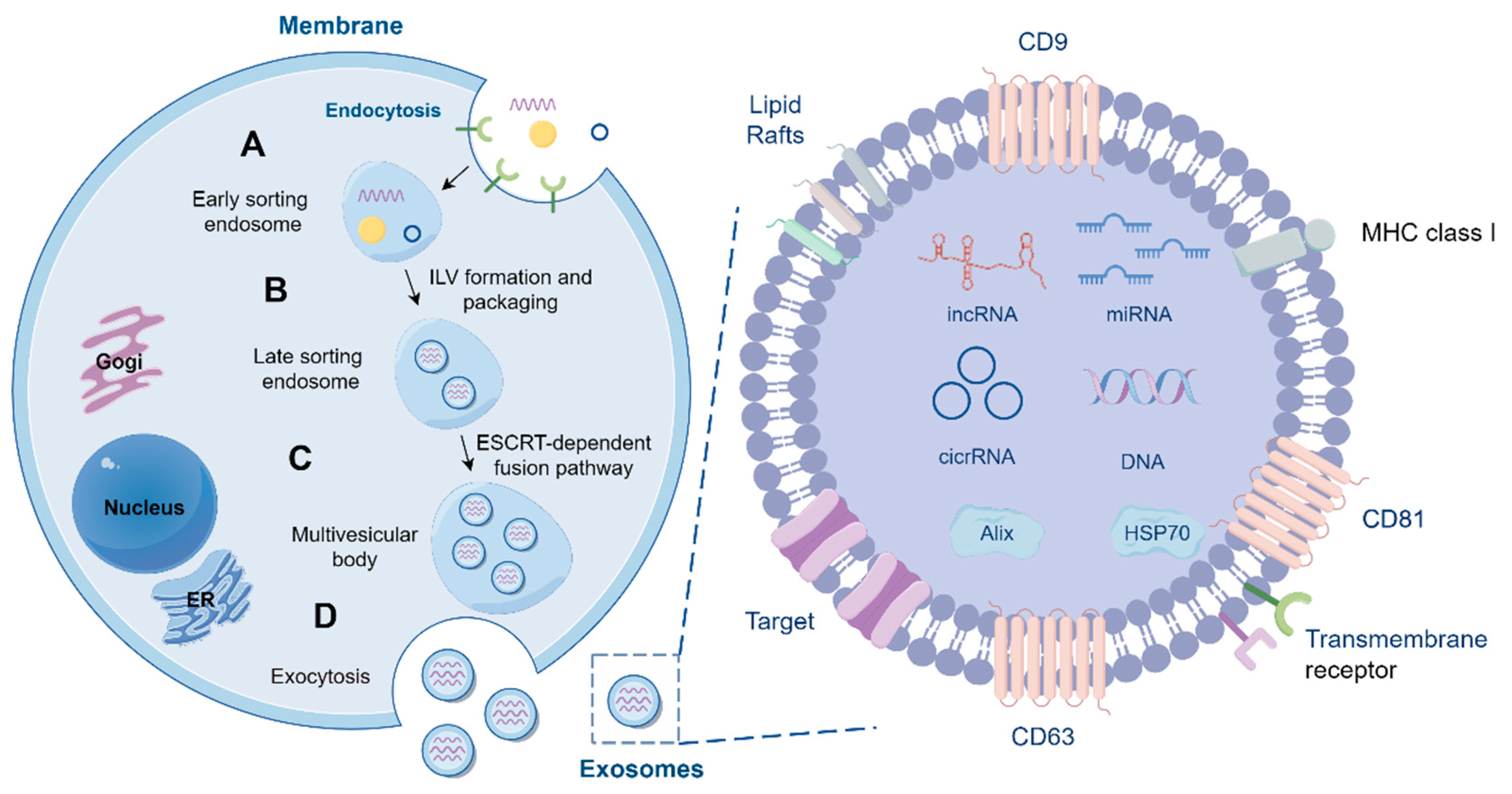 Preprints 139217 g001