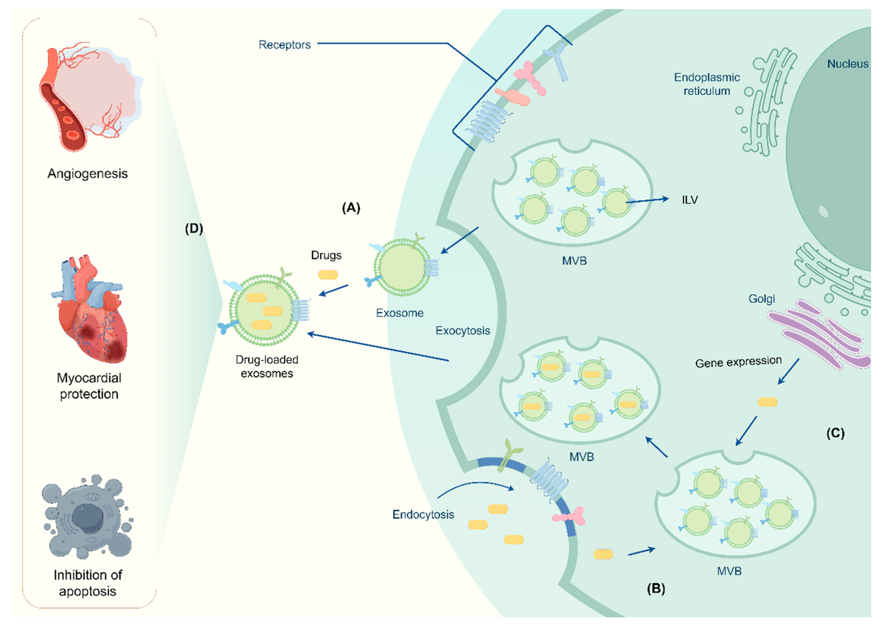 Preprints 139217 g002