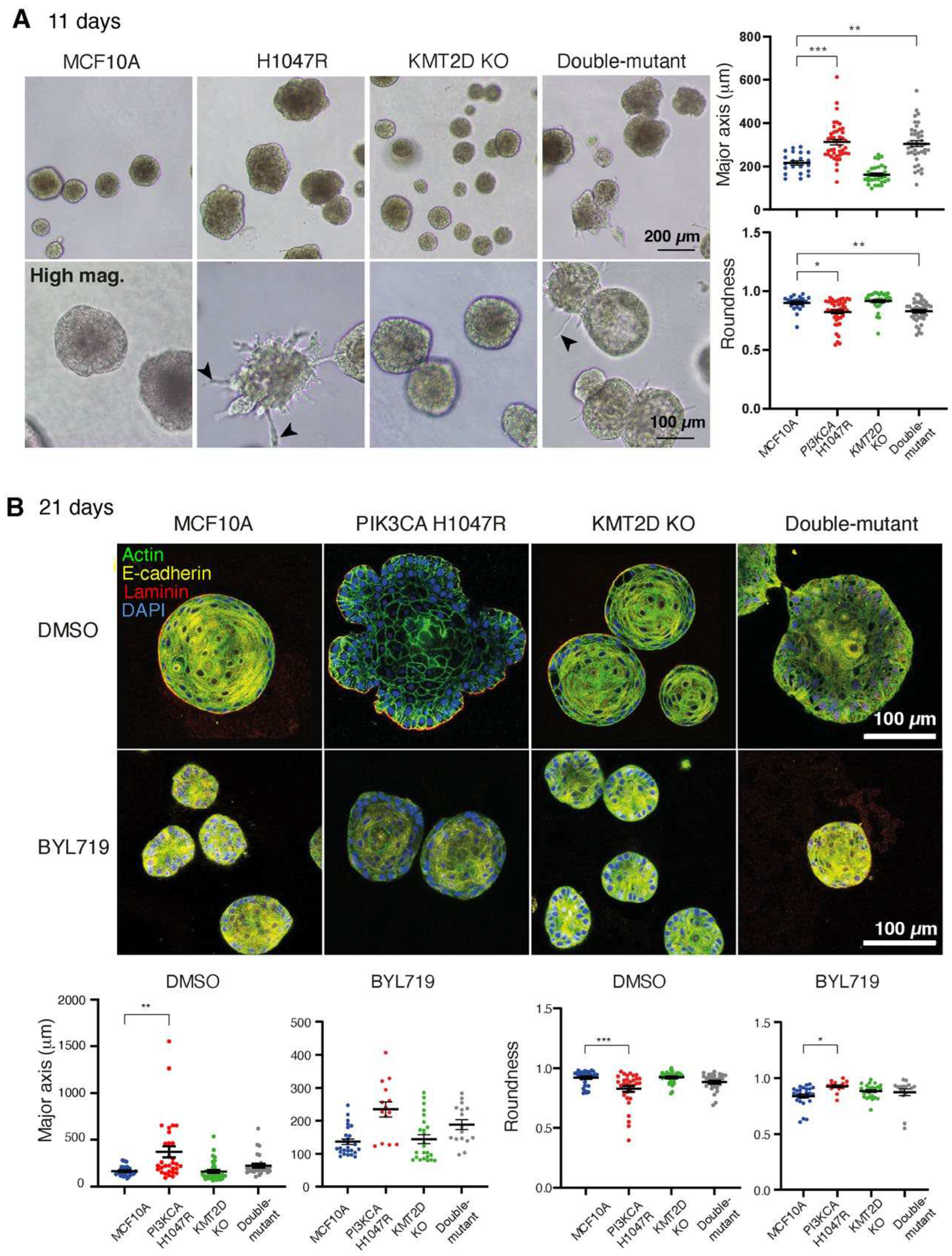 Preprints 99001 g002