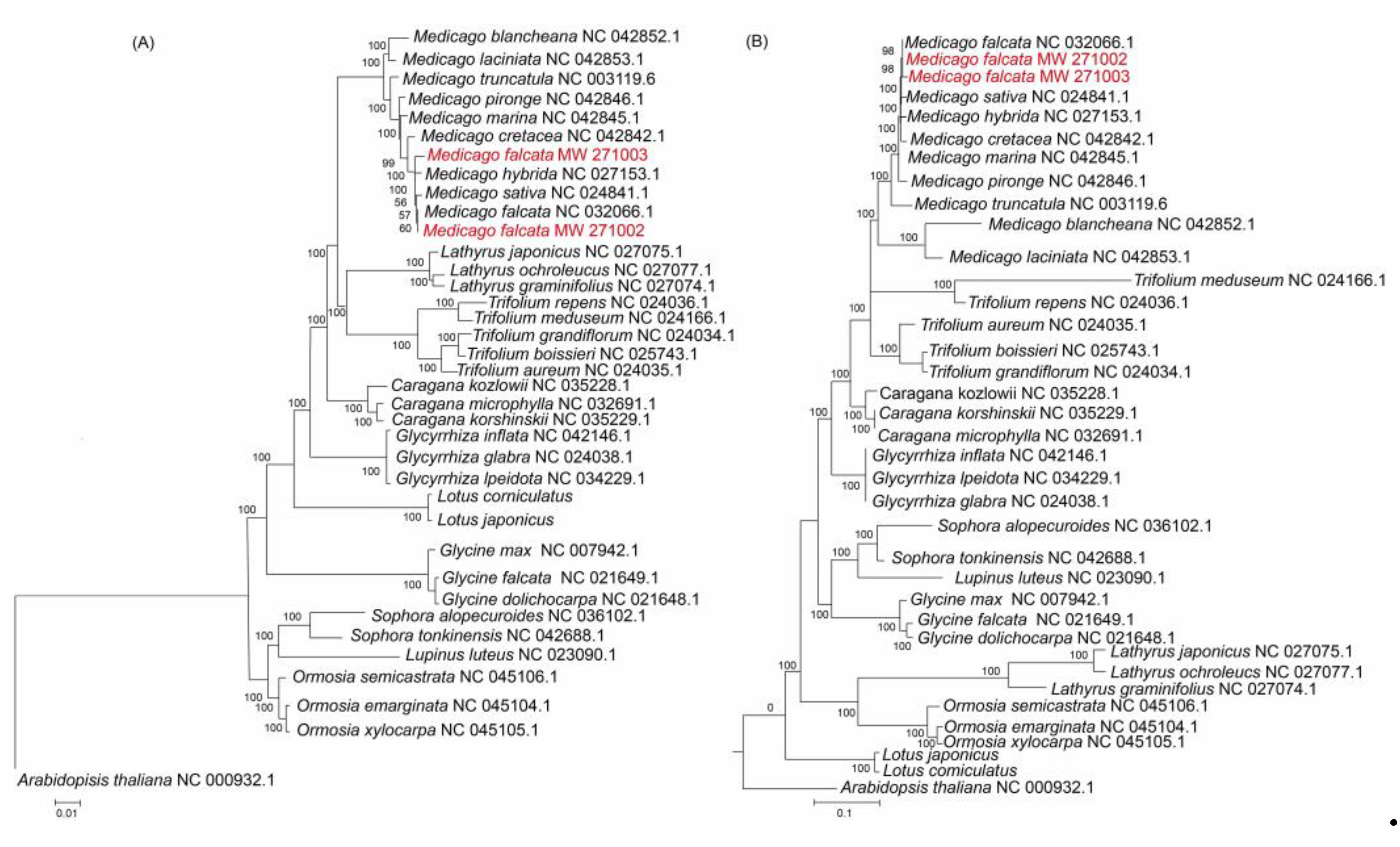 Preprints 166907 g006