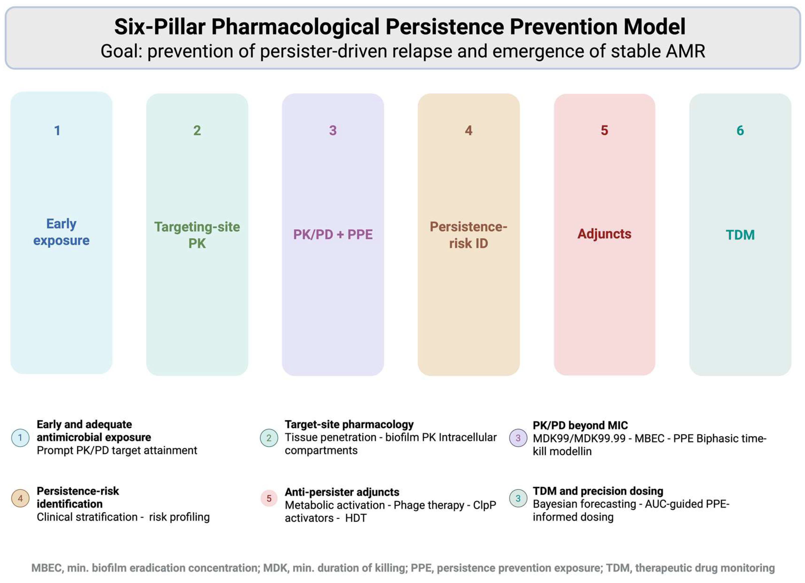The Pharmacology of Bacterial Persistence: From Antibiotic Tolerance to ...