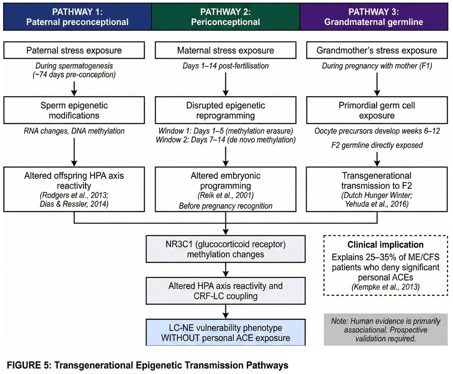 Preprints 194918 i002