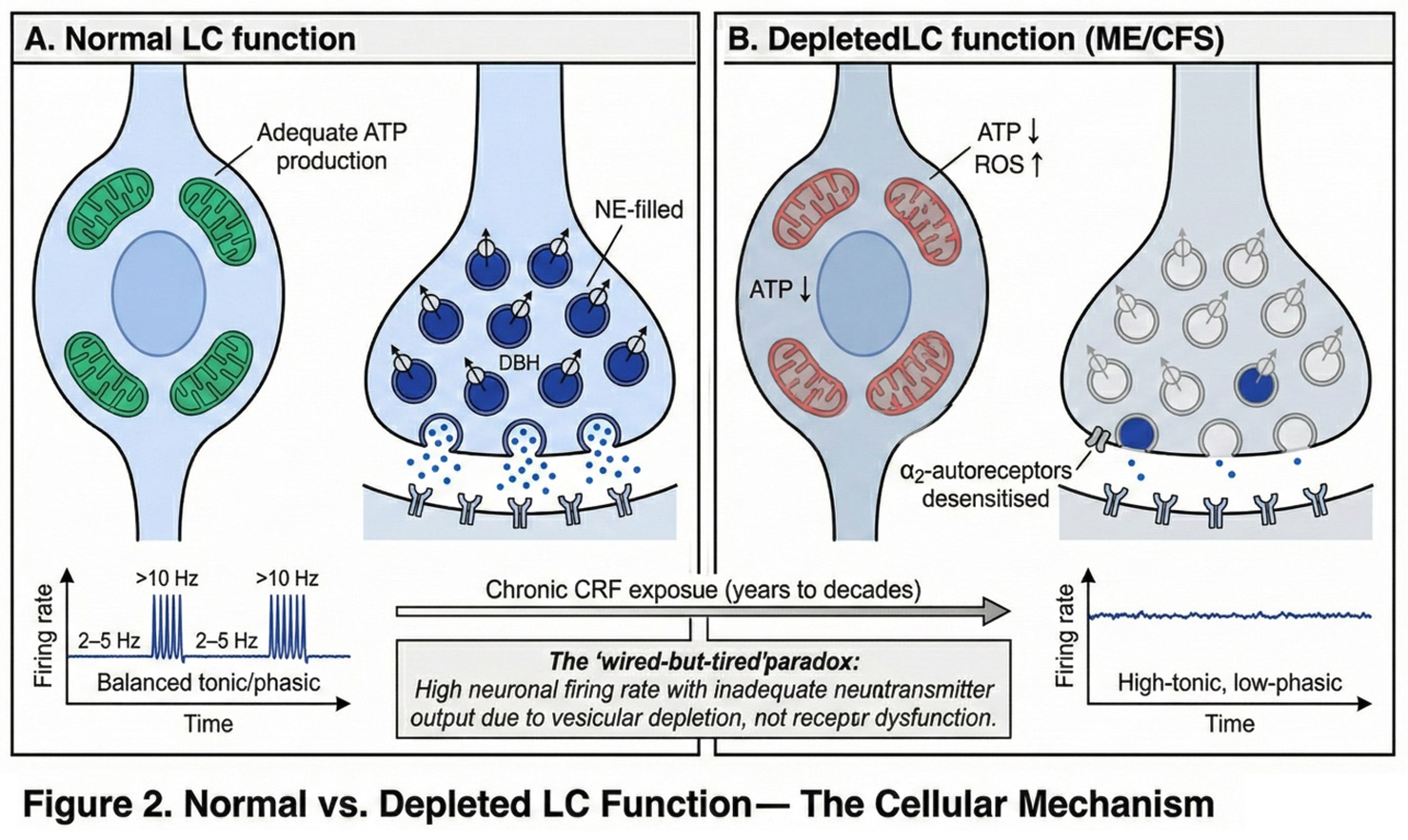 Preprints 194918 i003