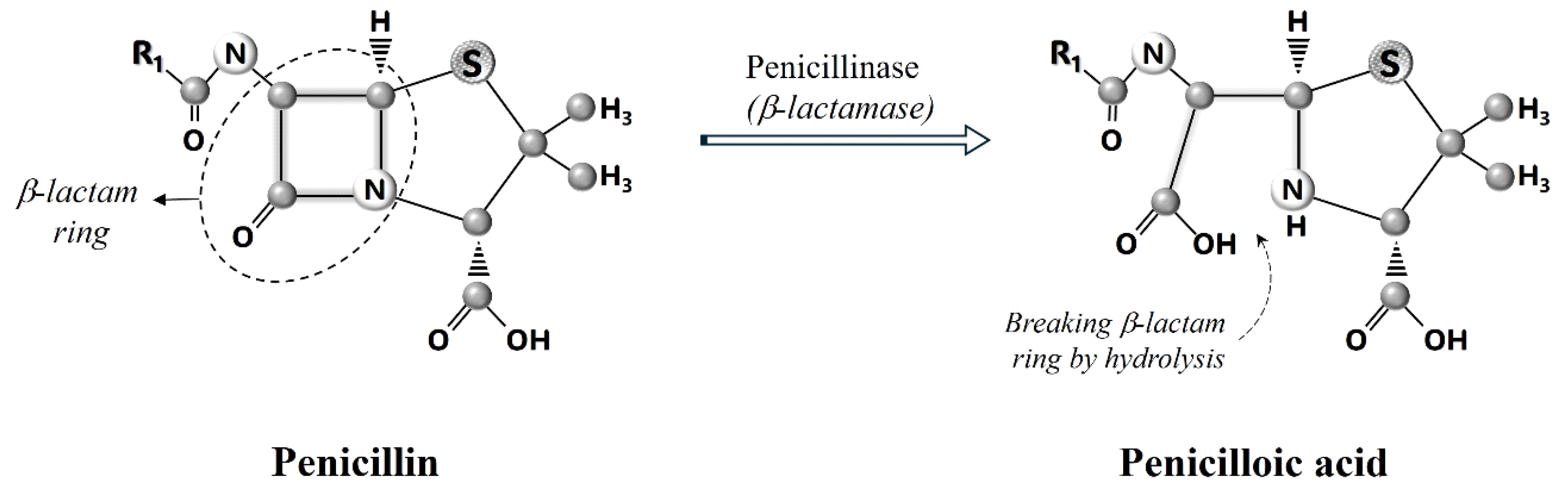 Preprints 148759 g002