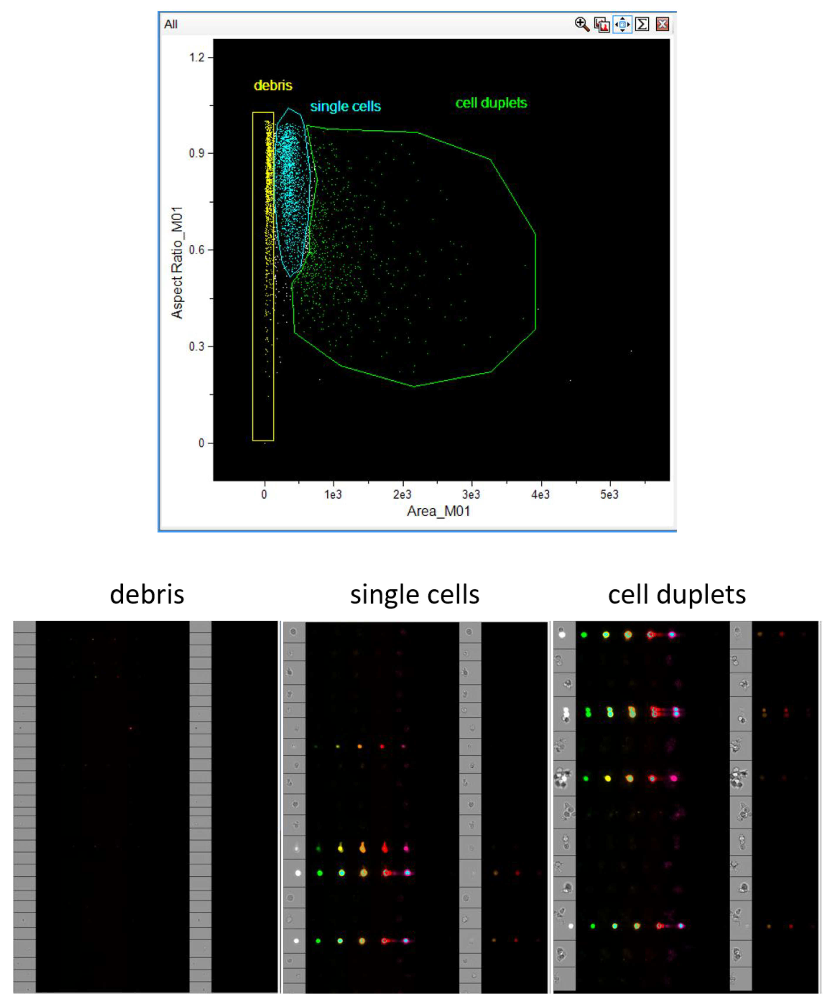 Preprints 178984 g001