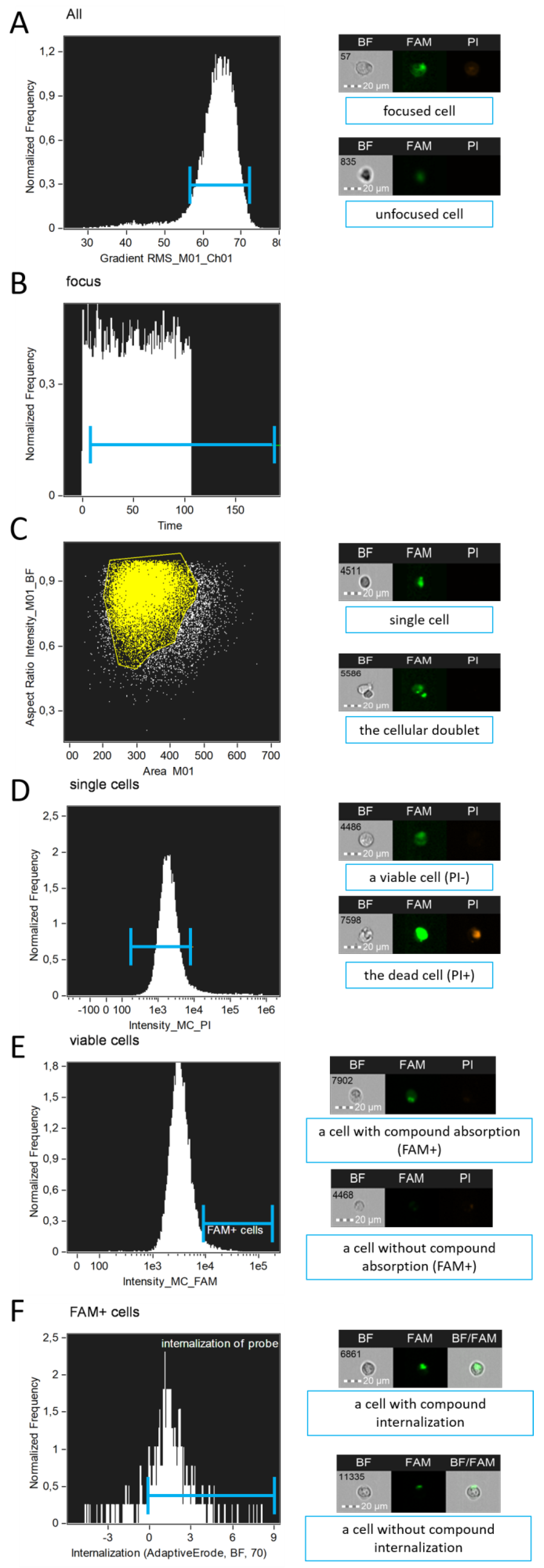 Preprints 178984 g003