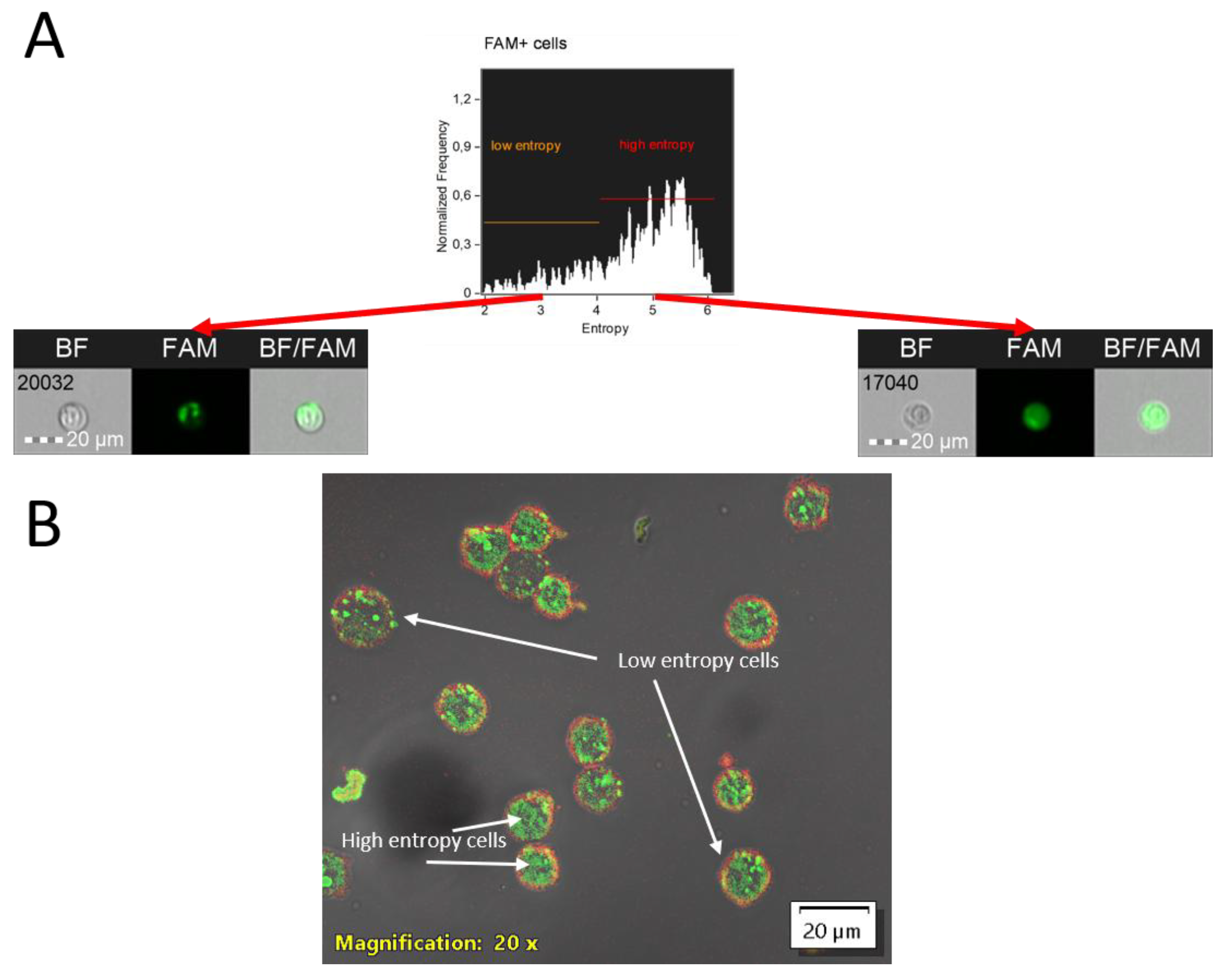 Preprints 178984 g004