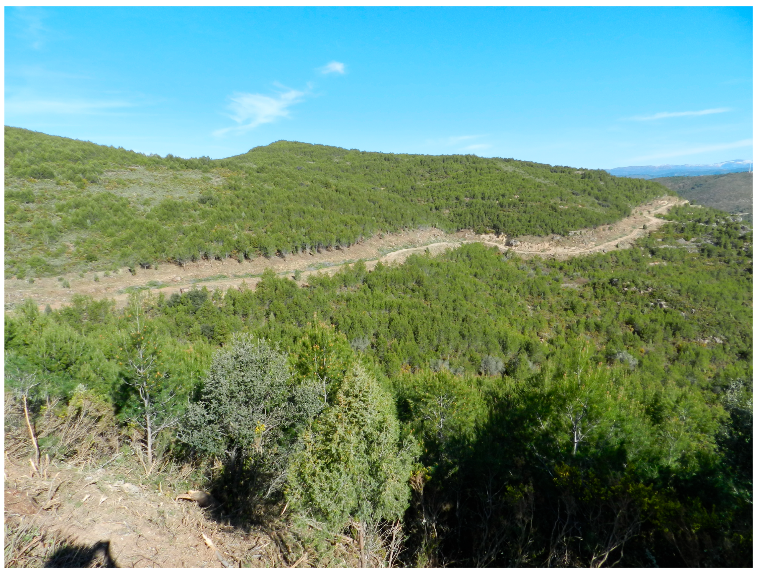 Preprints 171228 g010