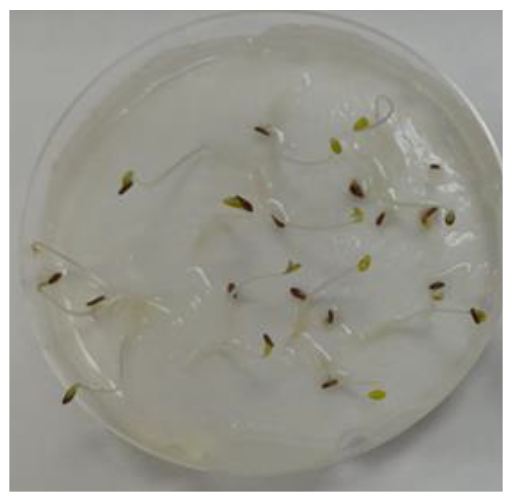 Preprints 157671 g006