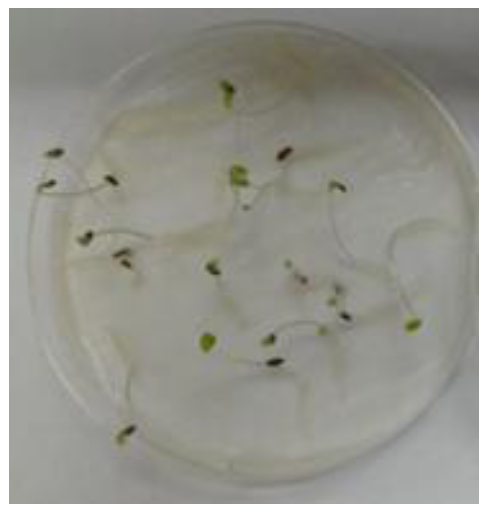 Preprints 157671 g007