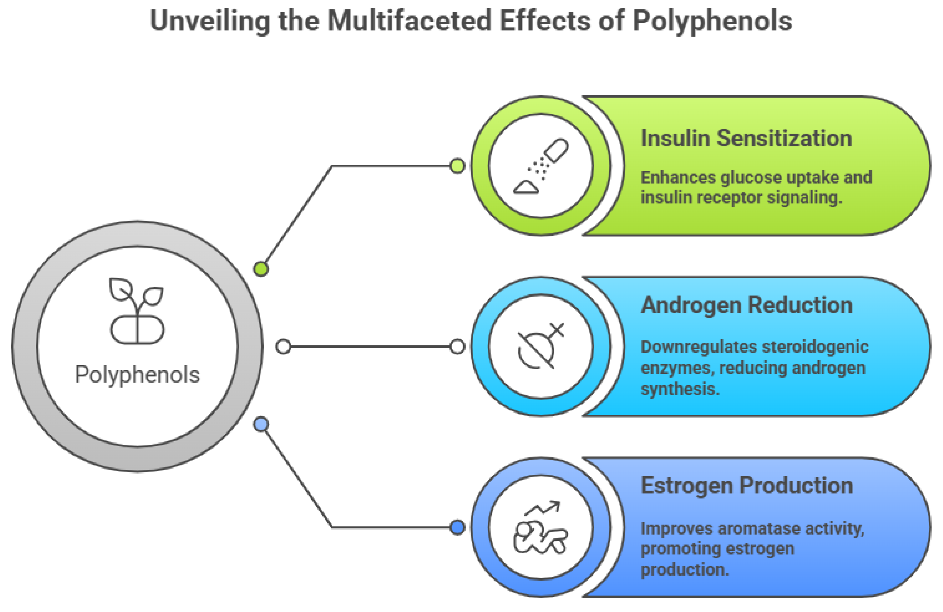 Preprints 191808 g002