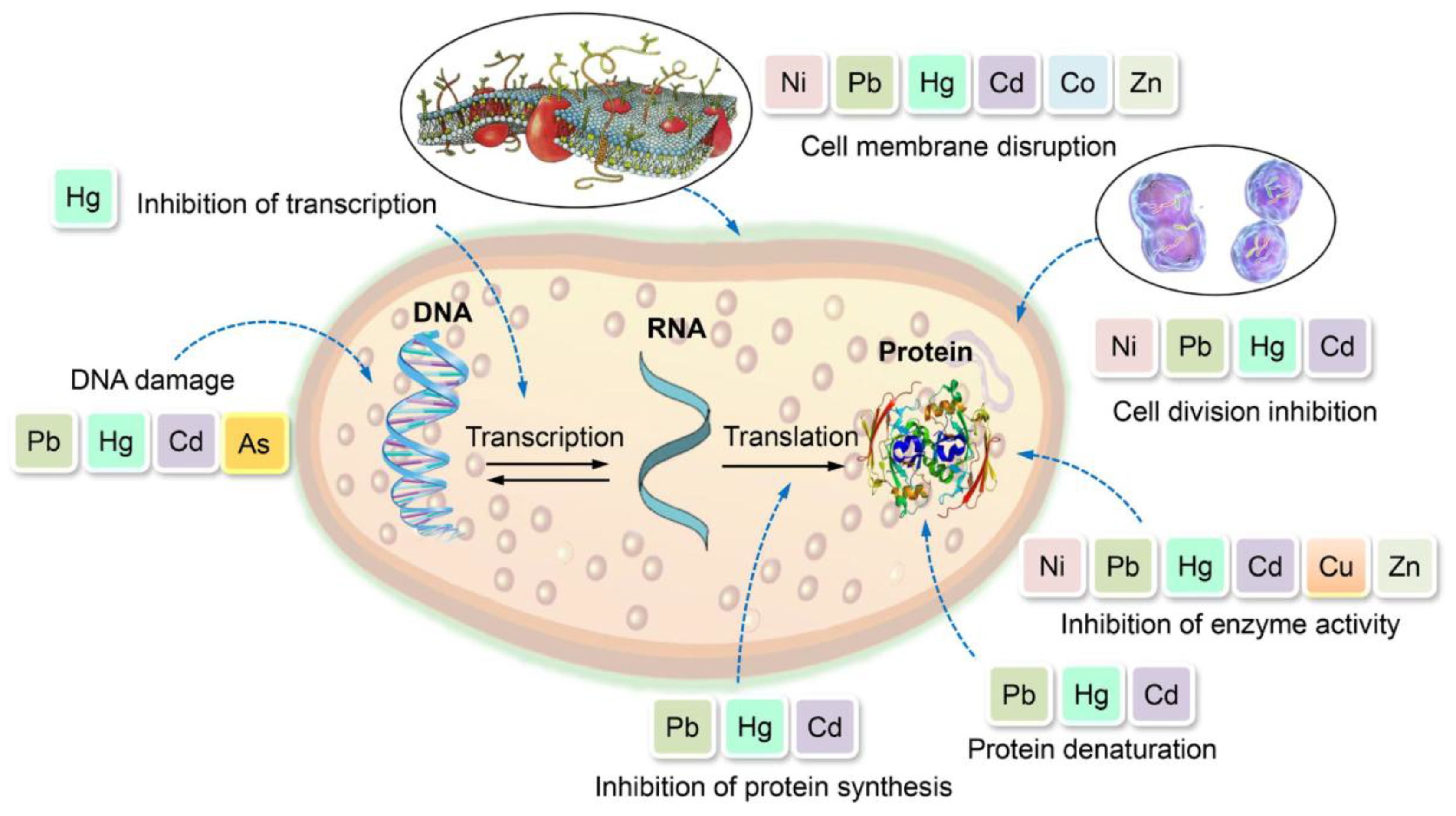 Preprints 168349 g003